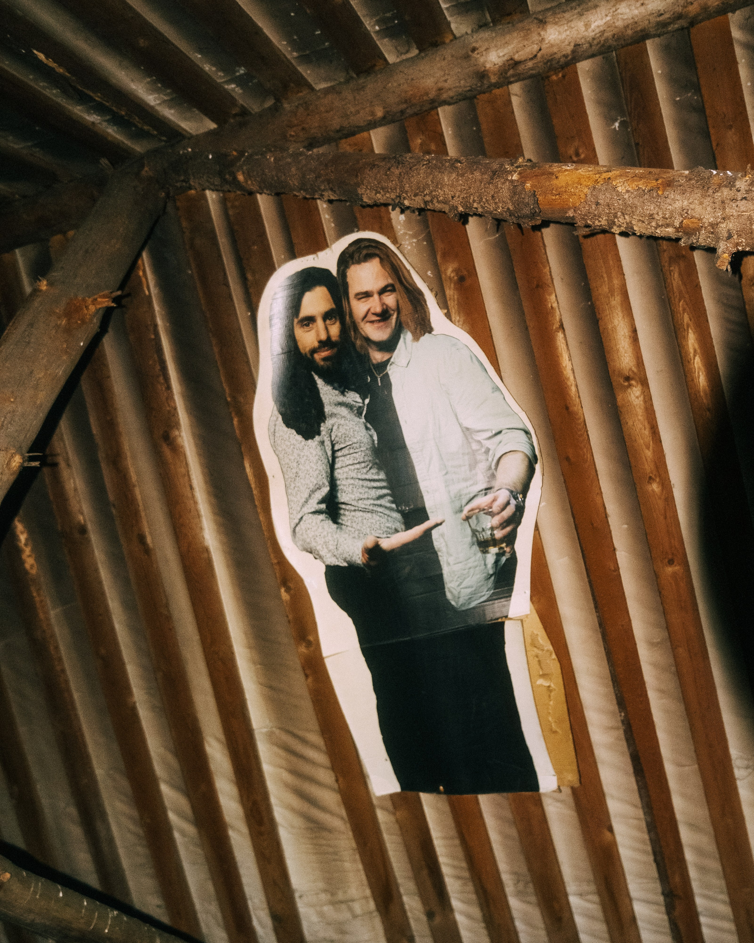 Ястребинное | январь 2025