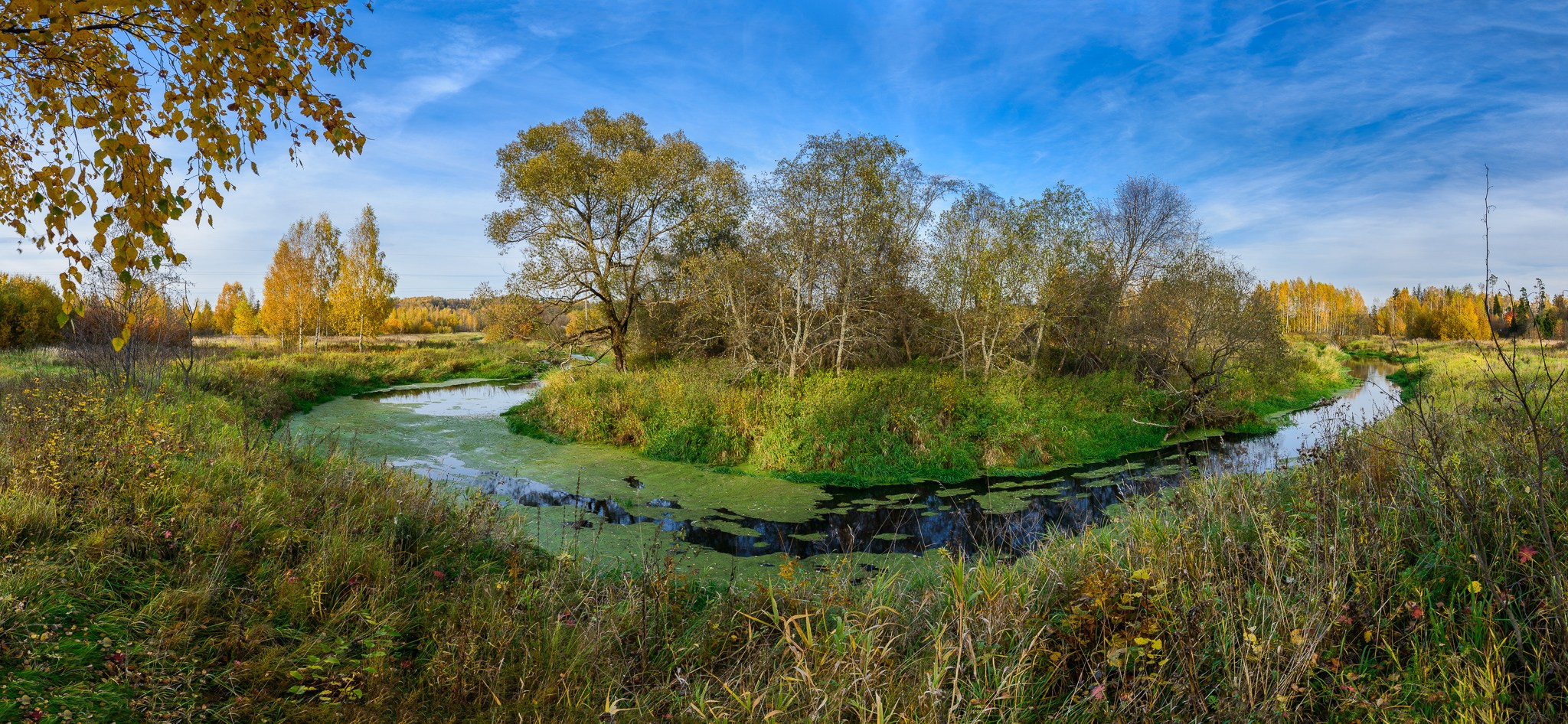 Крутой изгиб реки. Верховья Клязьмы в солнечный осенний день.