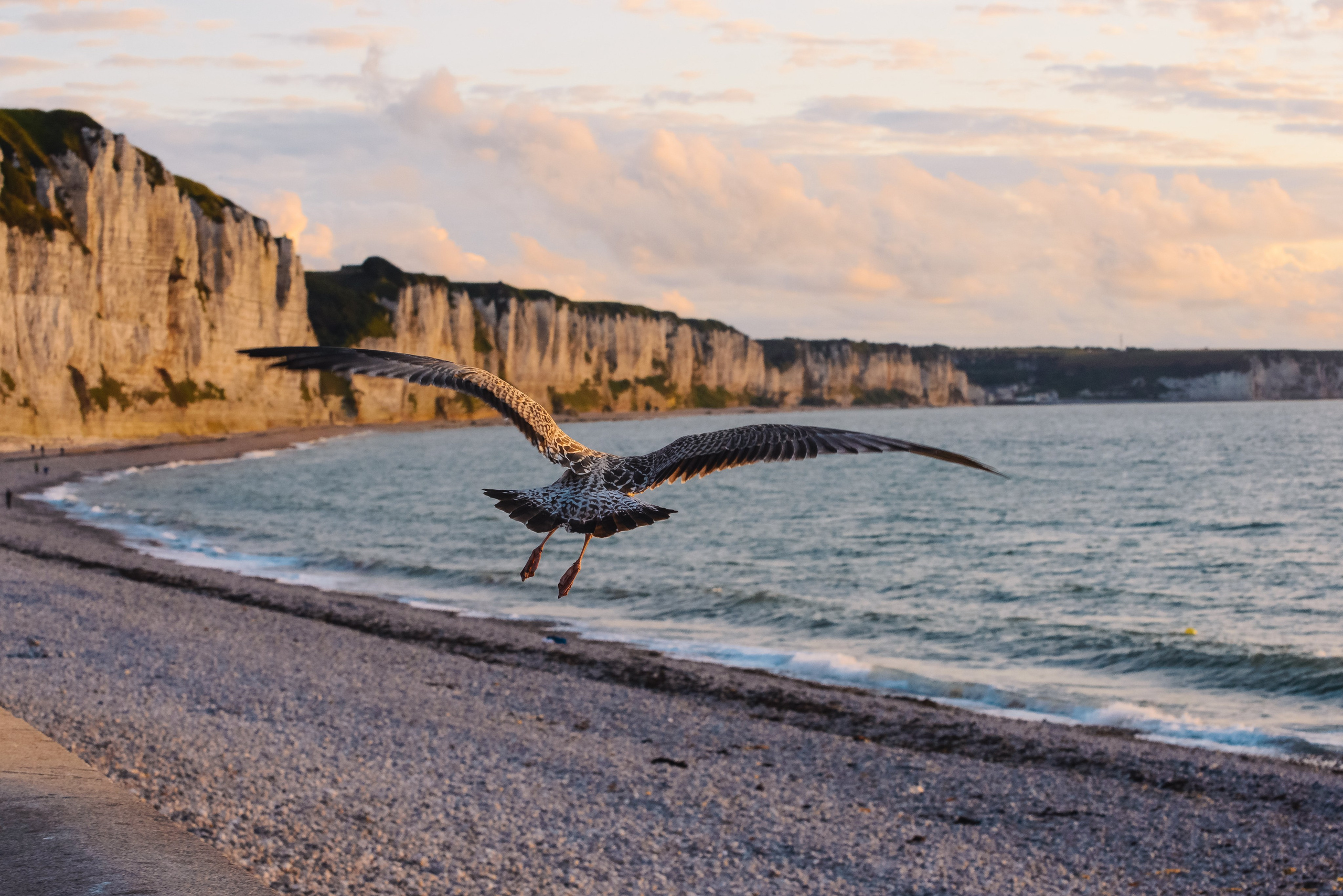 Франция. Фотографии Дмитрия Захаренко