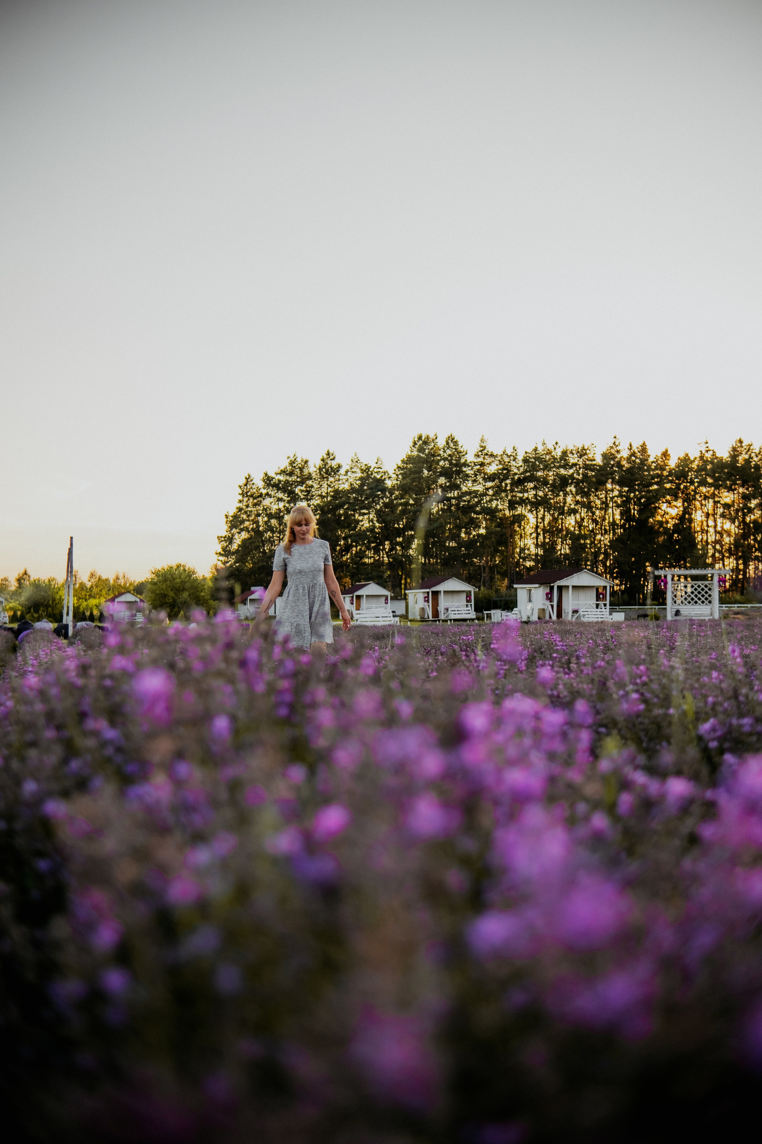 Семейная съемка в лованде. Nattie.ph