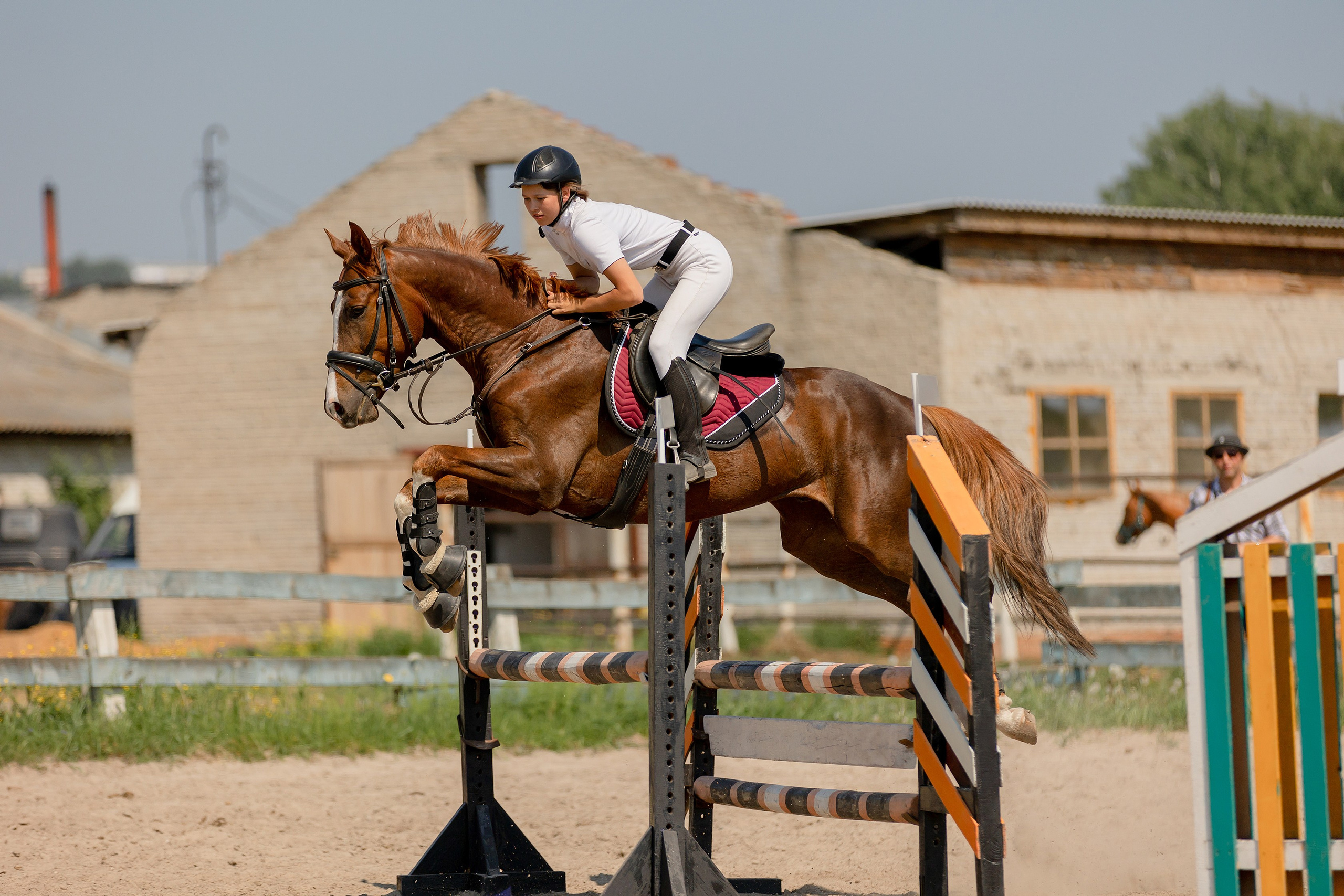 Соревнования по конному спорту. Конный фотограф Валынкина Лера