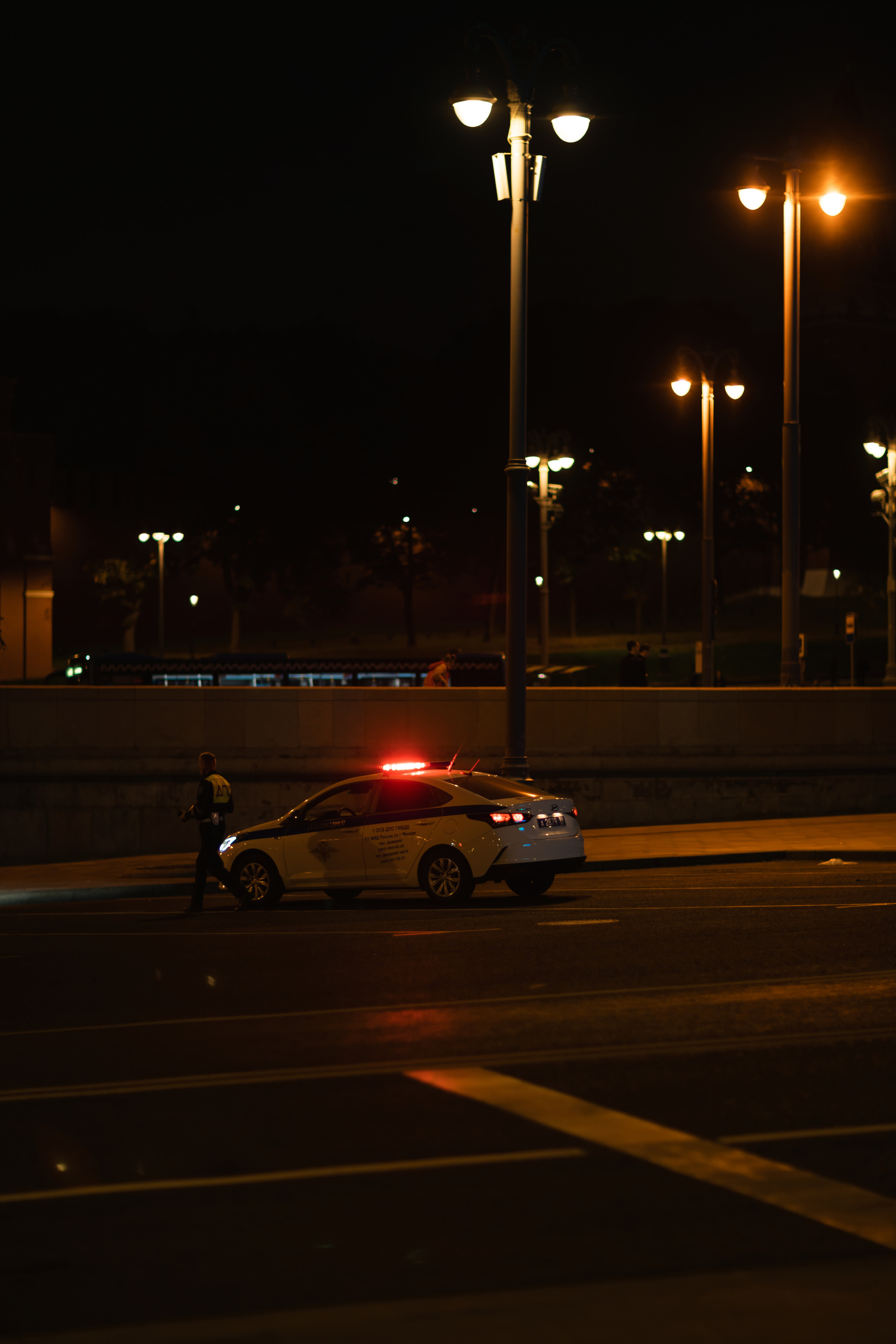 Разное. Photomantis