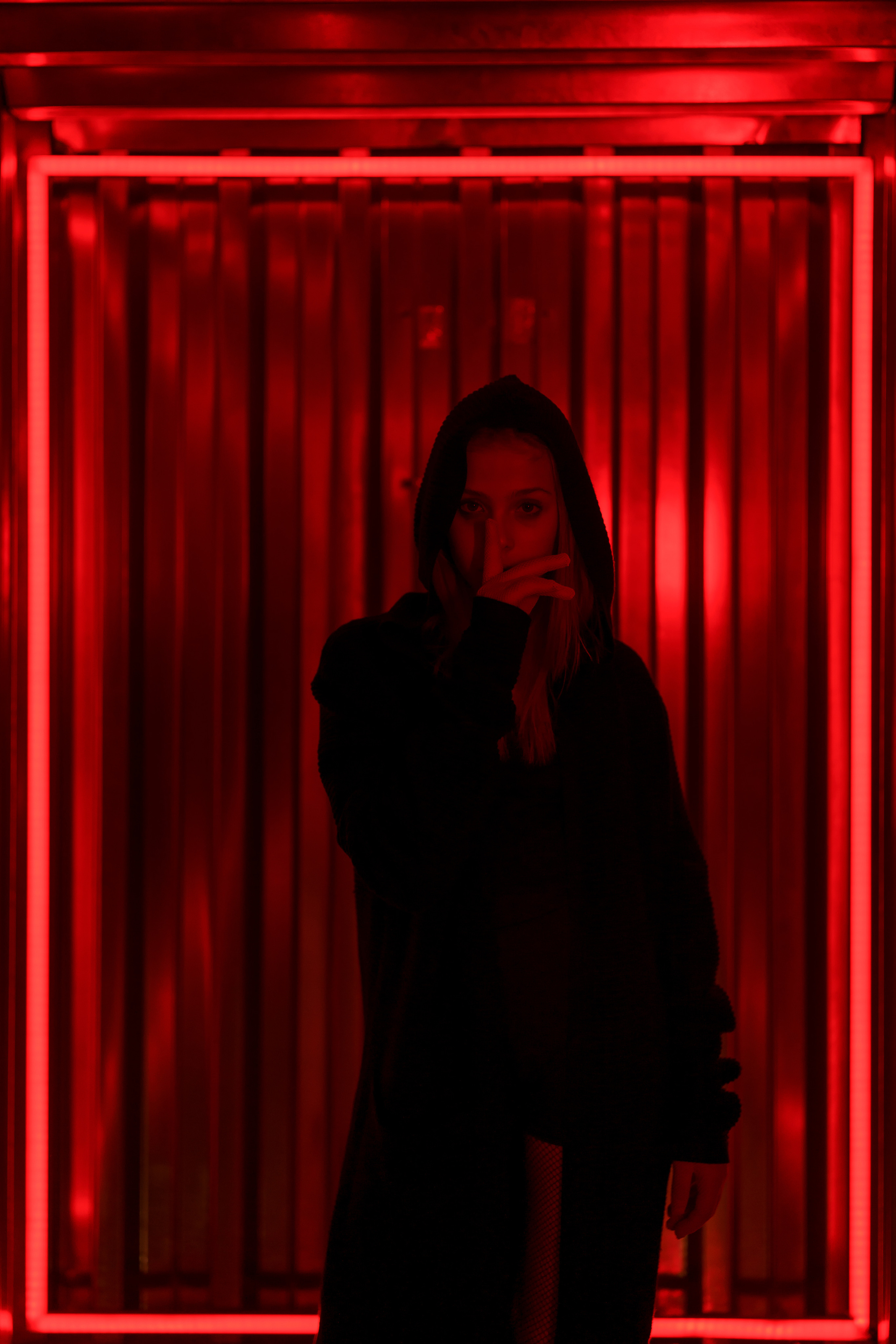 Студийная фотосъёмка. Photomantis