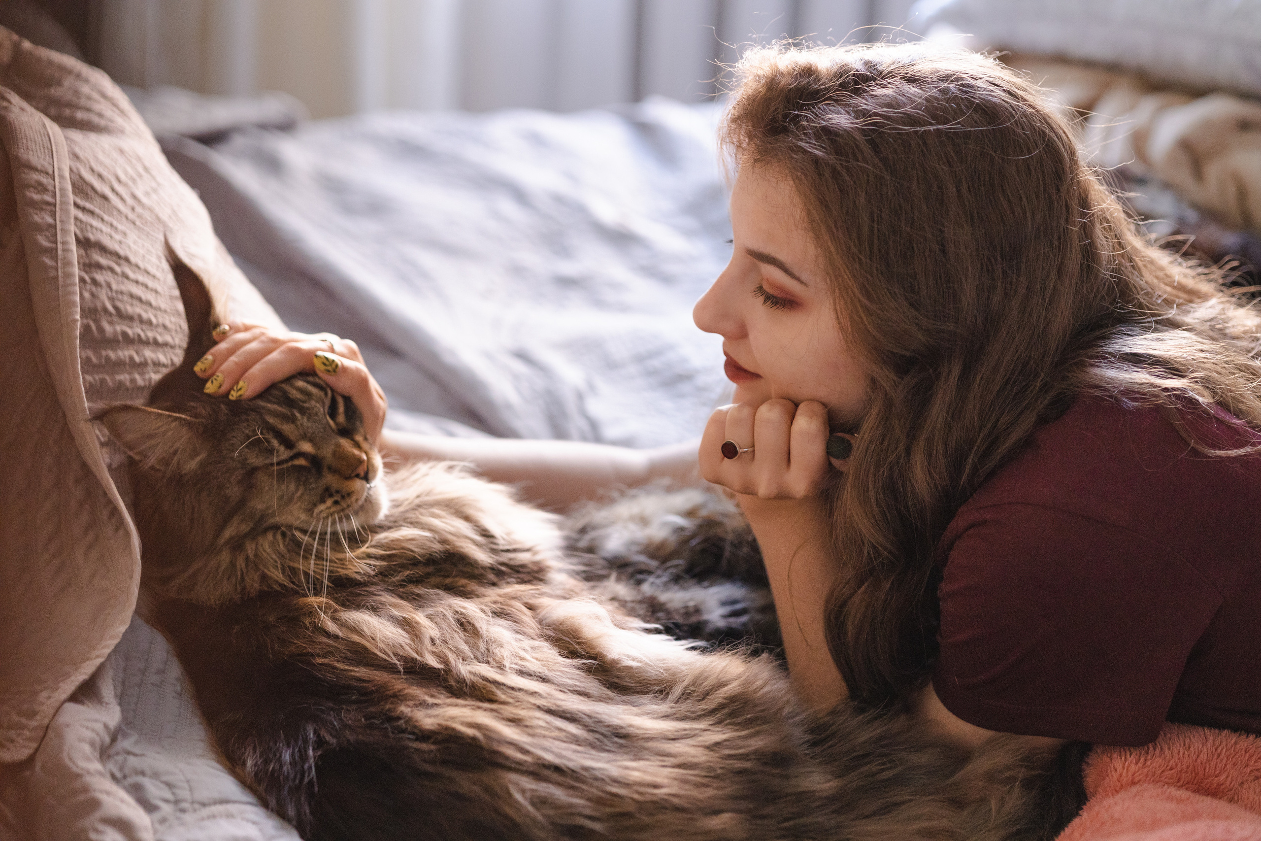 Котики. Фото-портфолио