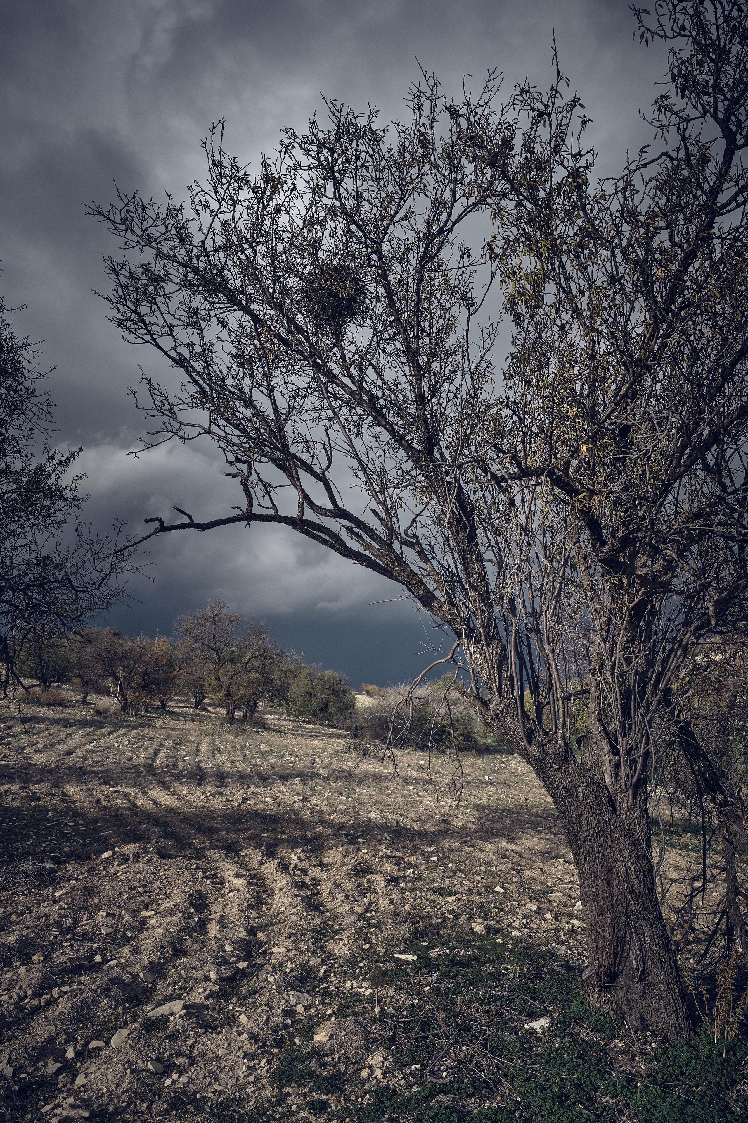 Cyprus / 2023. Aleksandr Kobtsev