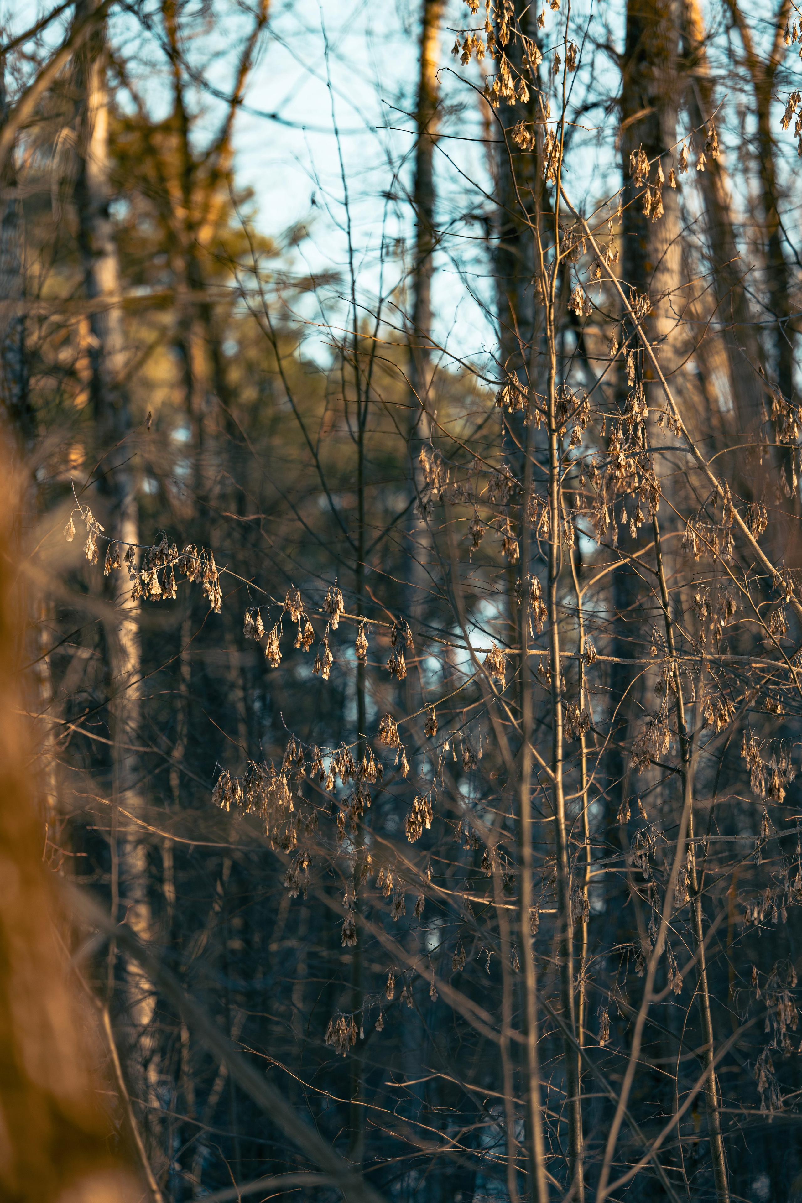 Street photo. Фотограф в Казани, и Зеленодольске Радик Мухаметов