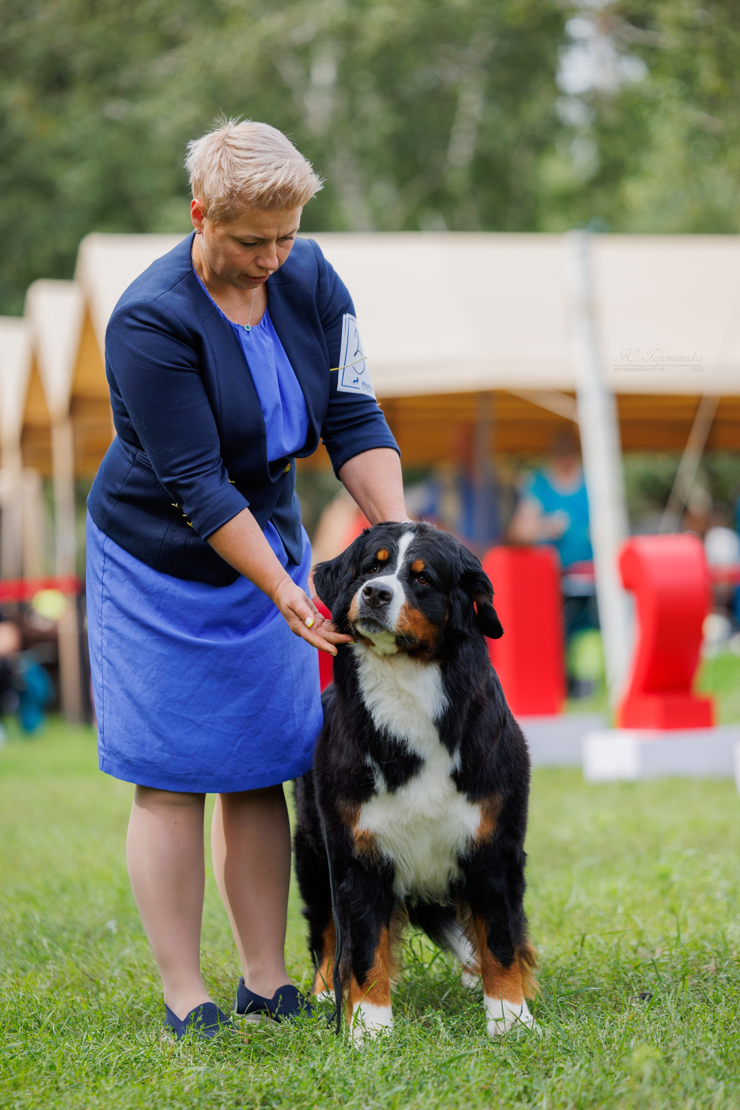 Астана 2хCACIB 17-18.08.2024. Фотограф-анималист Юлия Германика