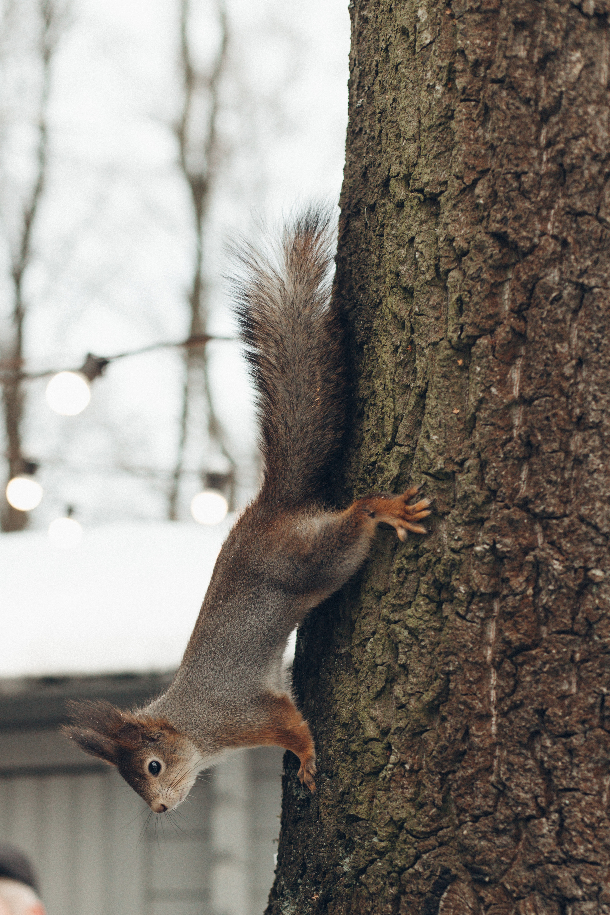 Семейная съемка для Алексея и Марии. Семейный фотограф Санкт-Петербург СПб Анастасия Гаврилюк