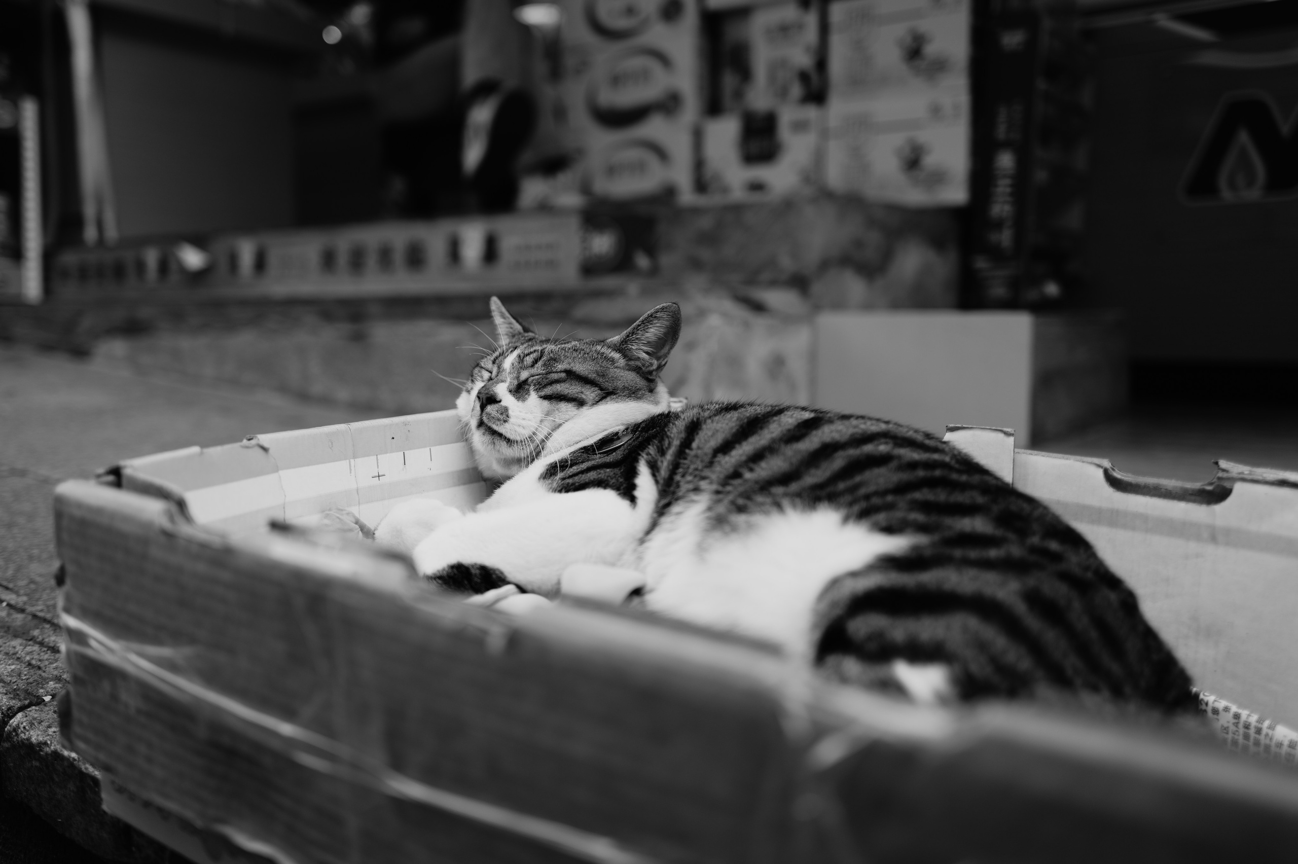 China/Китай. @tomrus: Рустам Шагиморданов — фотограф