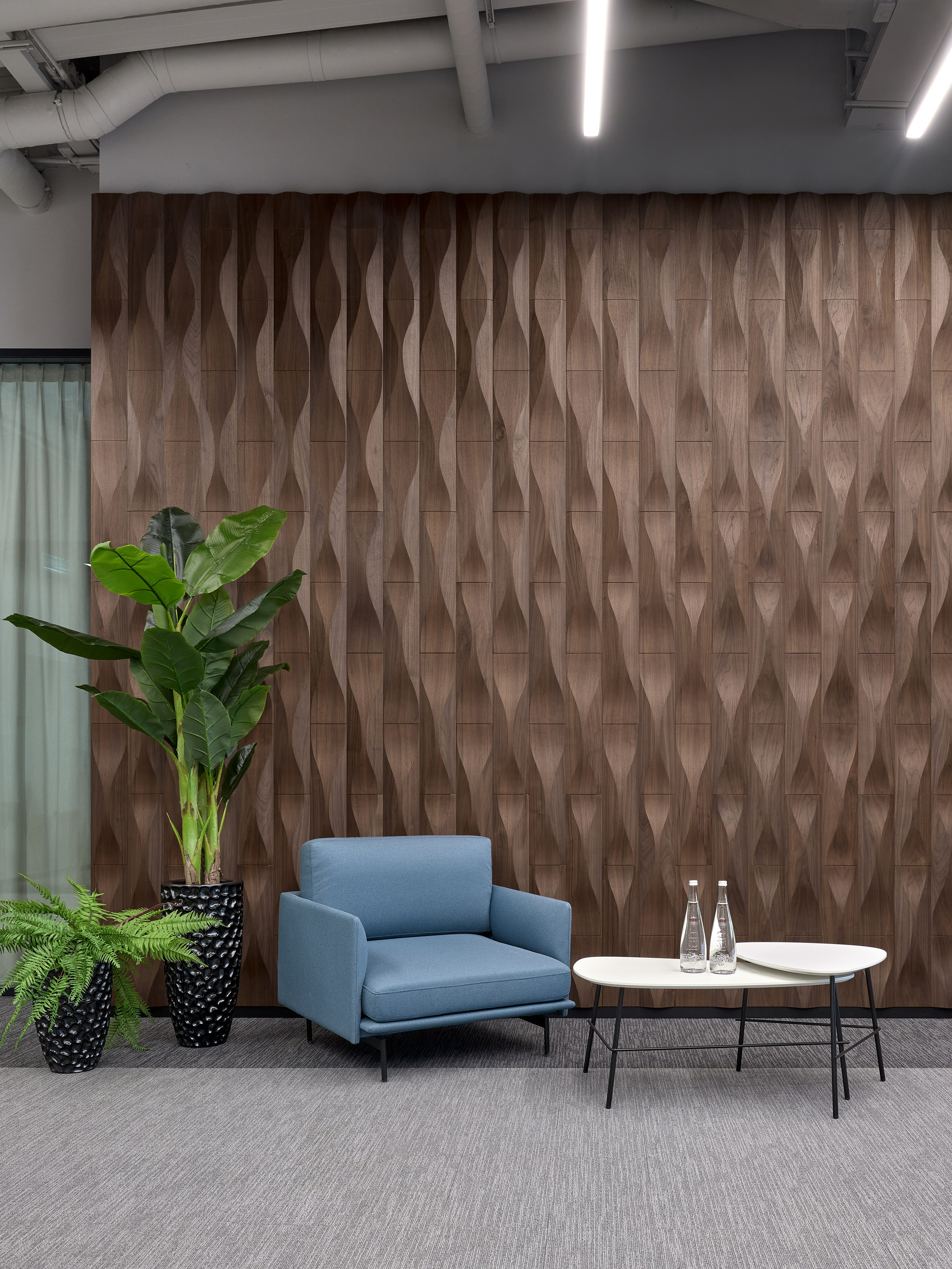 Sollers. Фотограф Наталья Вершинина