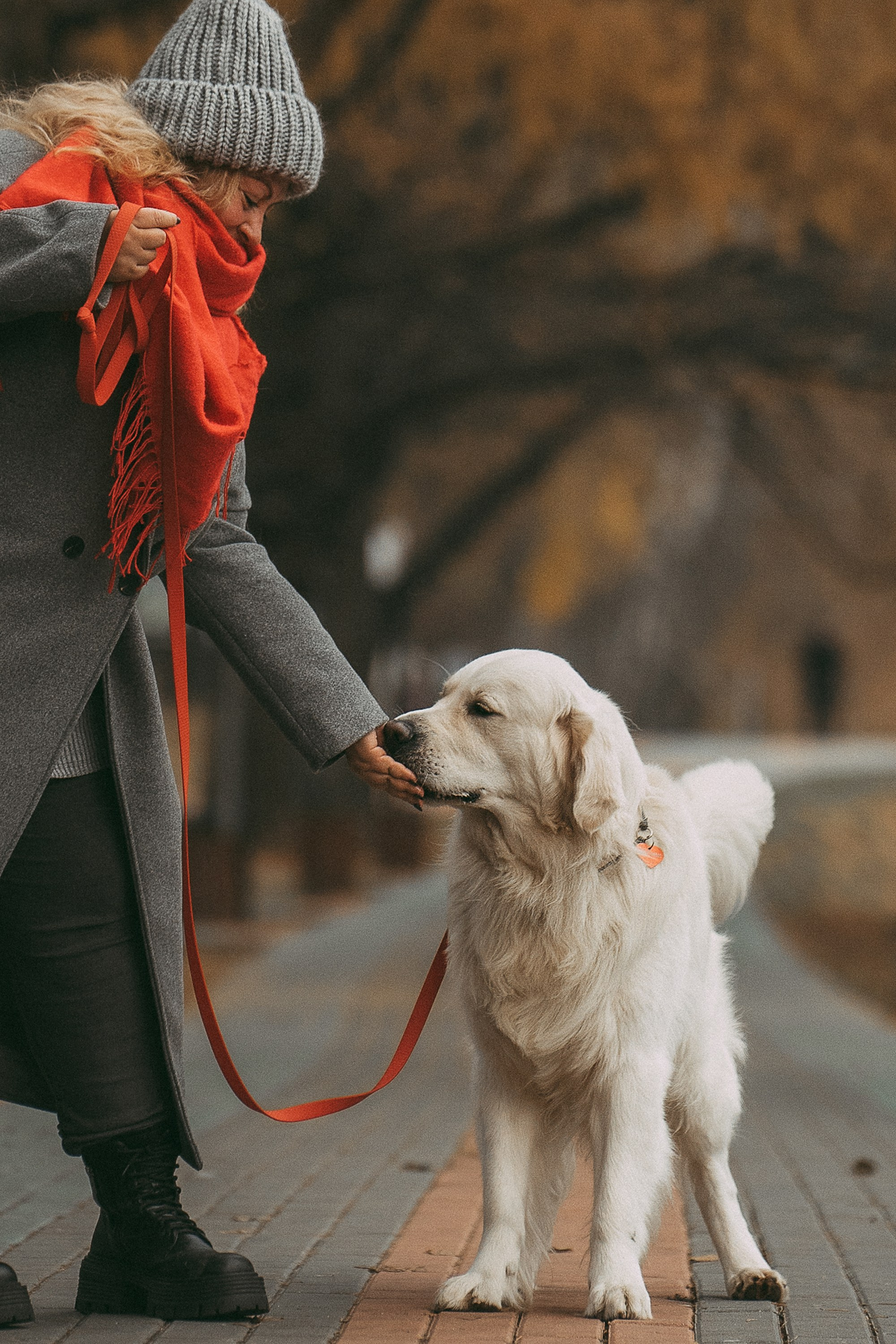 Лена и Мерлин. Фотограф анималист в Москве и Санкт-Петербурге Свиридова Анна