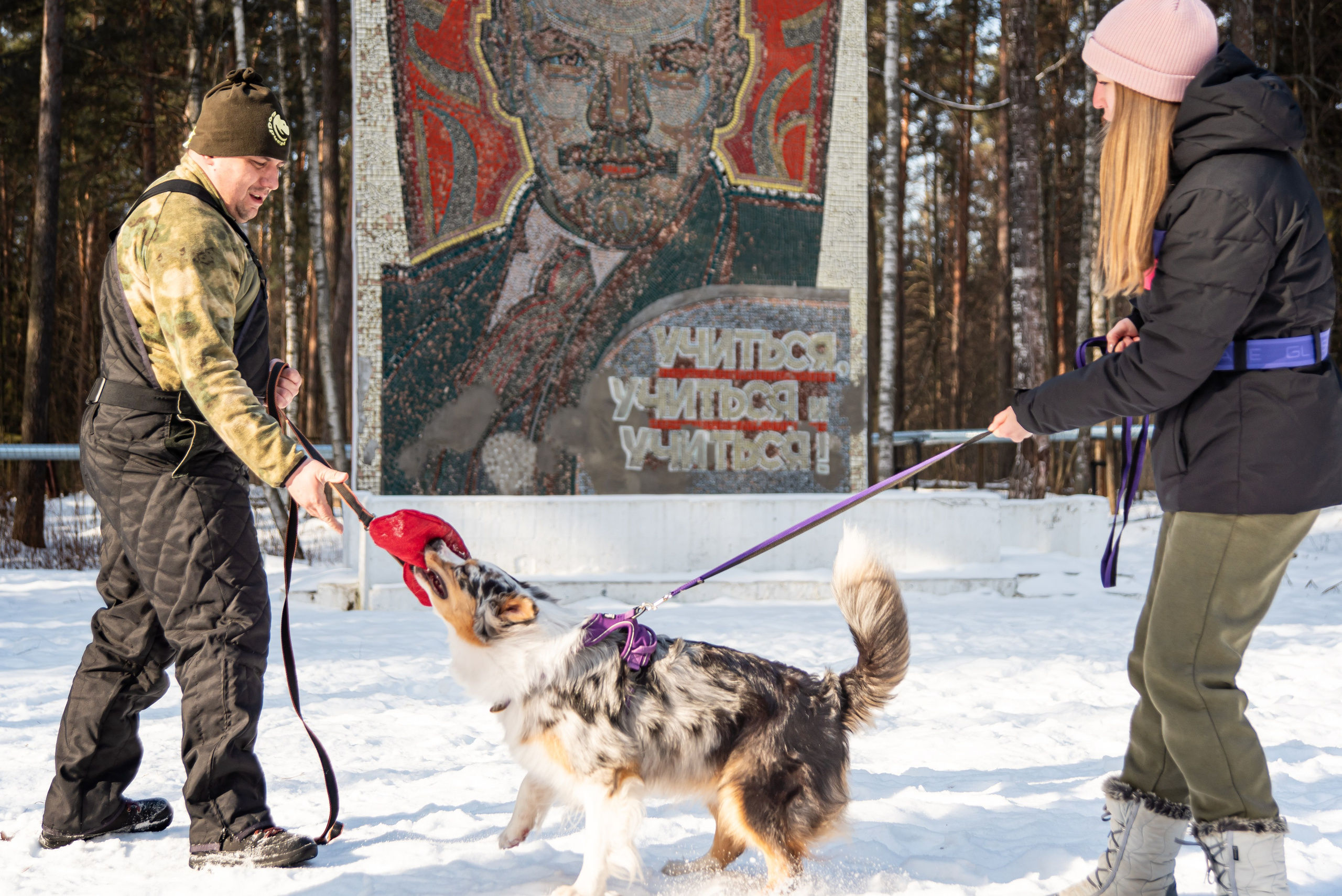 Фотосъёмка с собаками в Кинологическом лагере. Фотограф Макс Огурцов в Нижнем Новгороде