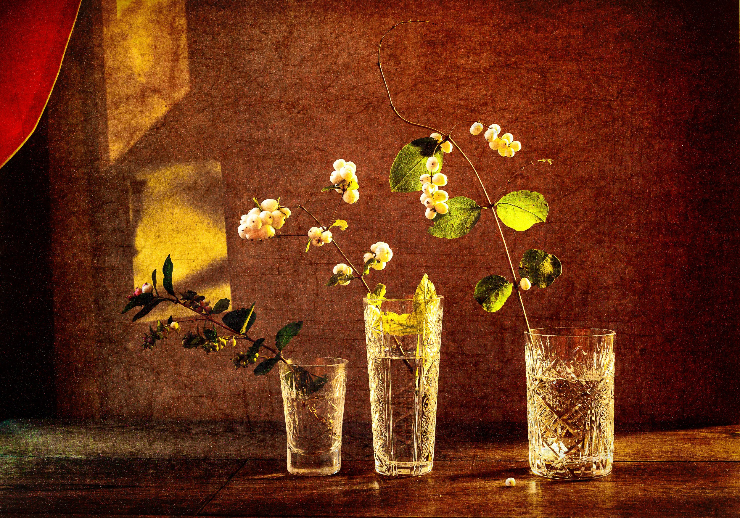 НАТЮРМОРТЫ. Фотограф в Москве Татьяна Макотра