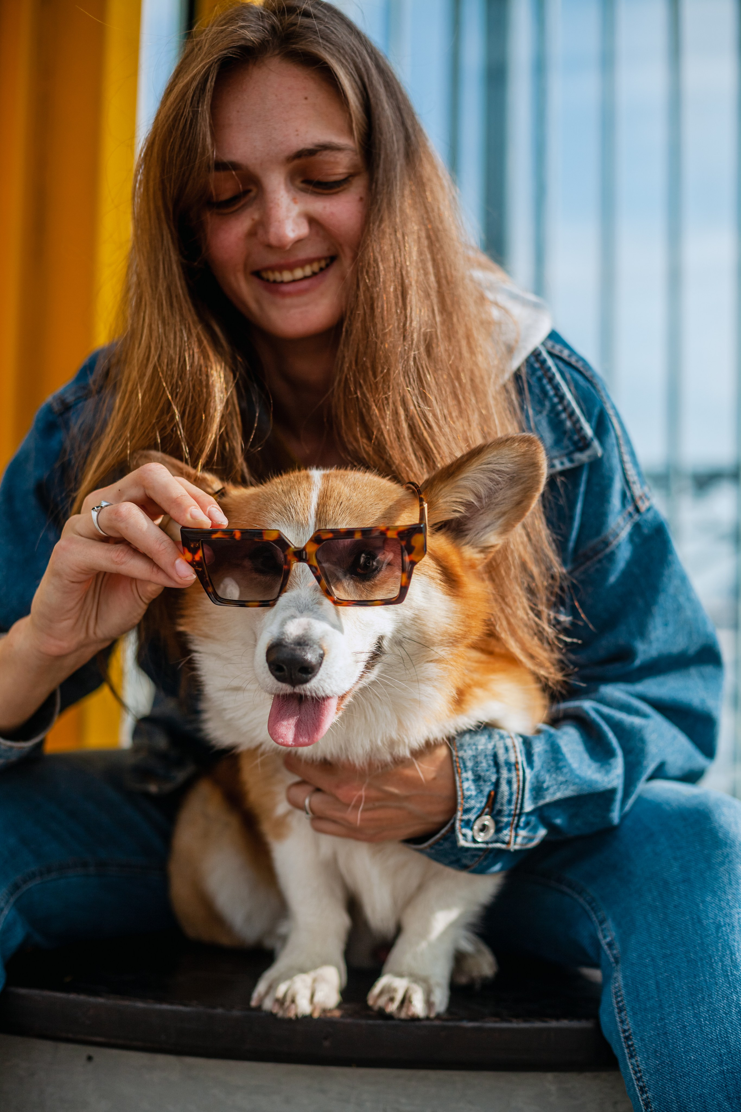 Андреевский мост. Фотограф-анималист Татьяна Степанова