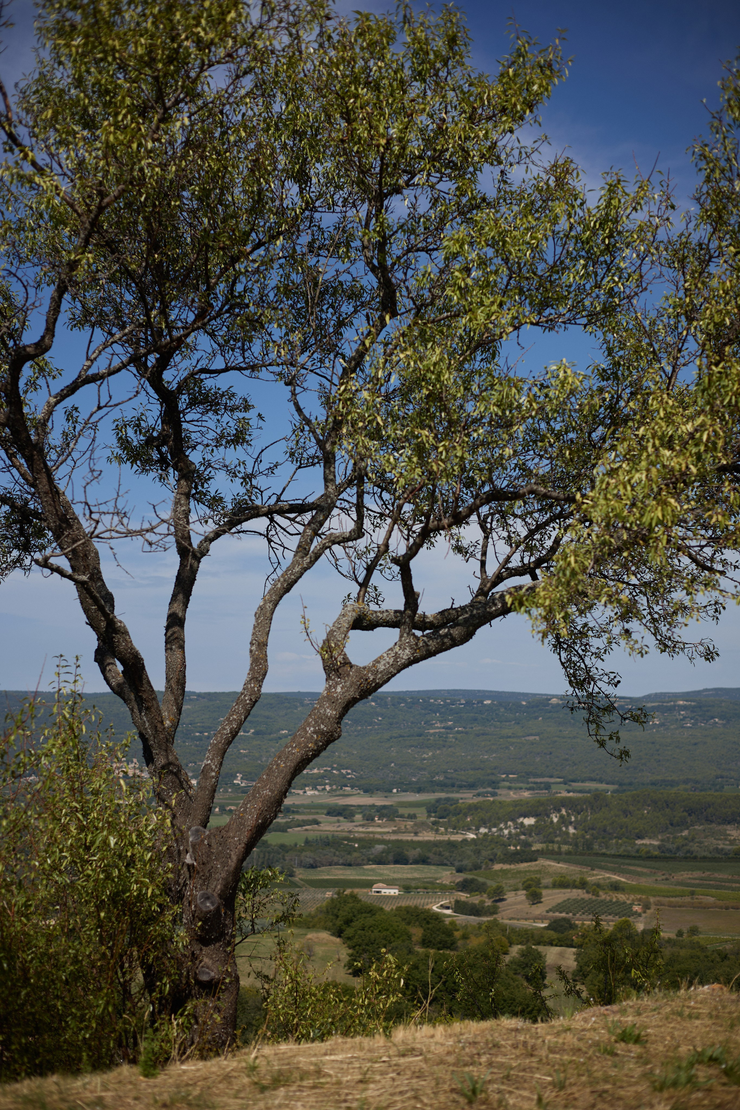 France (Provence & Paris) Sep'25. Анастасия Зобнинá — фотограф в Санкт-Петербурге/СПб
