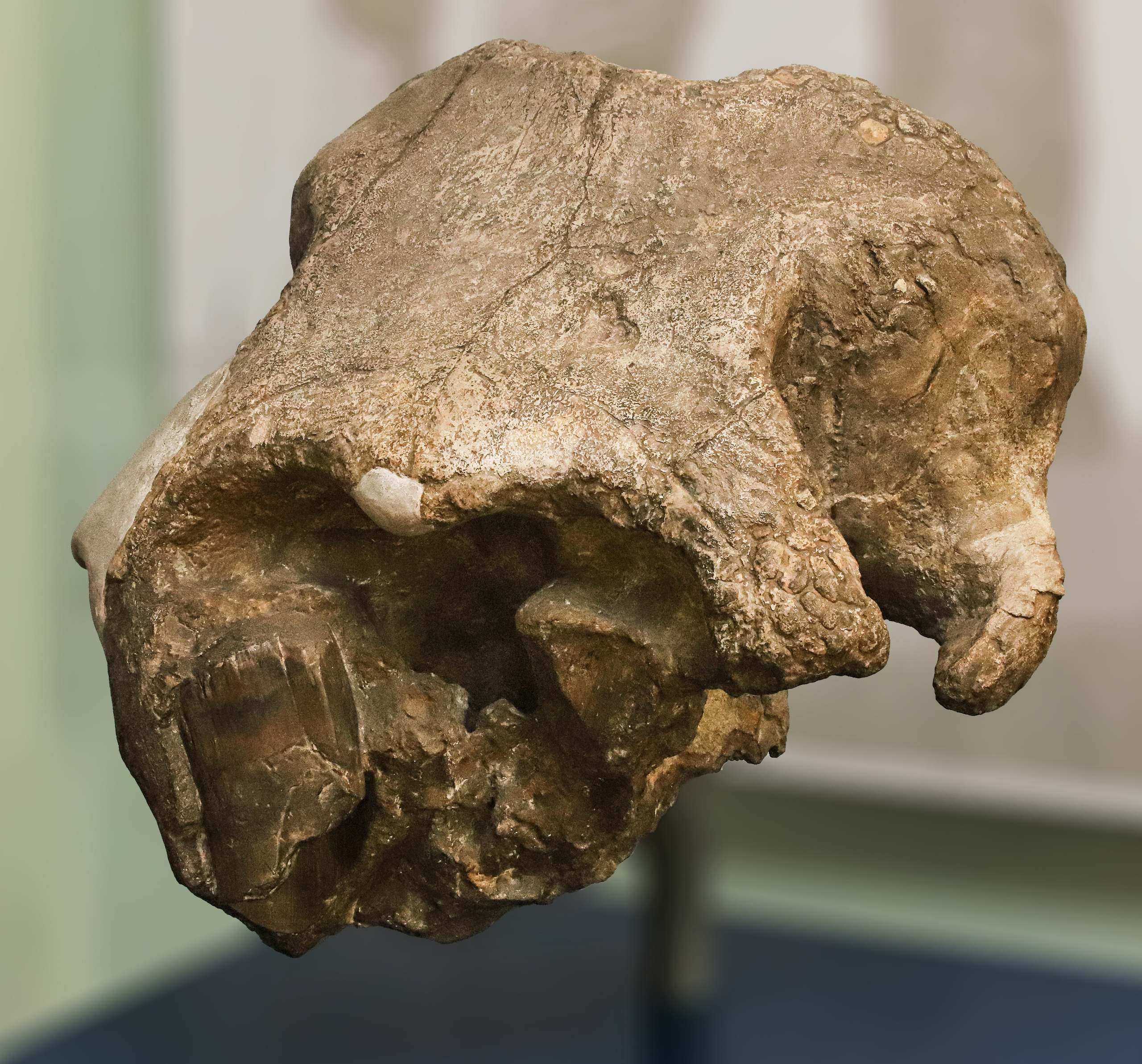 Каменная летопись. Фотограф Юлия Маринина