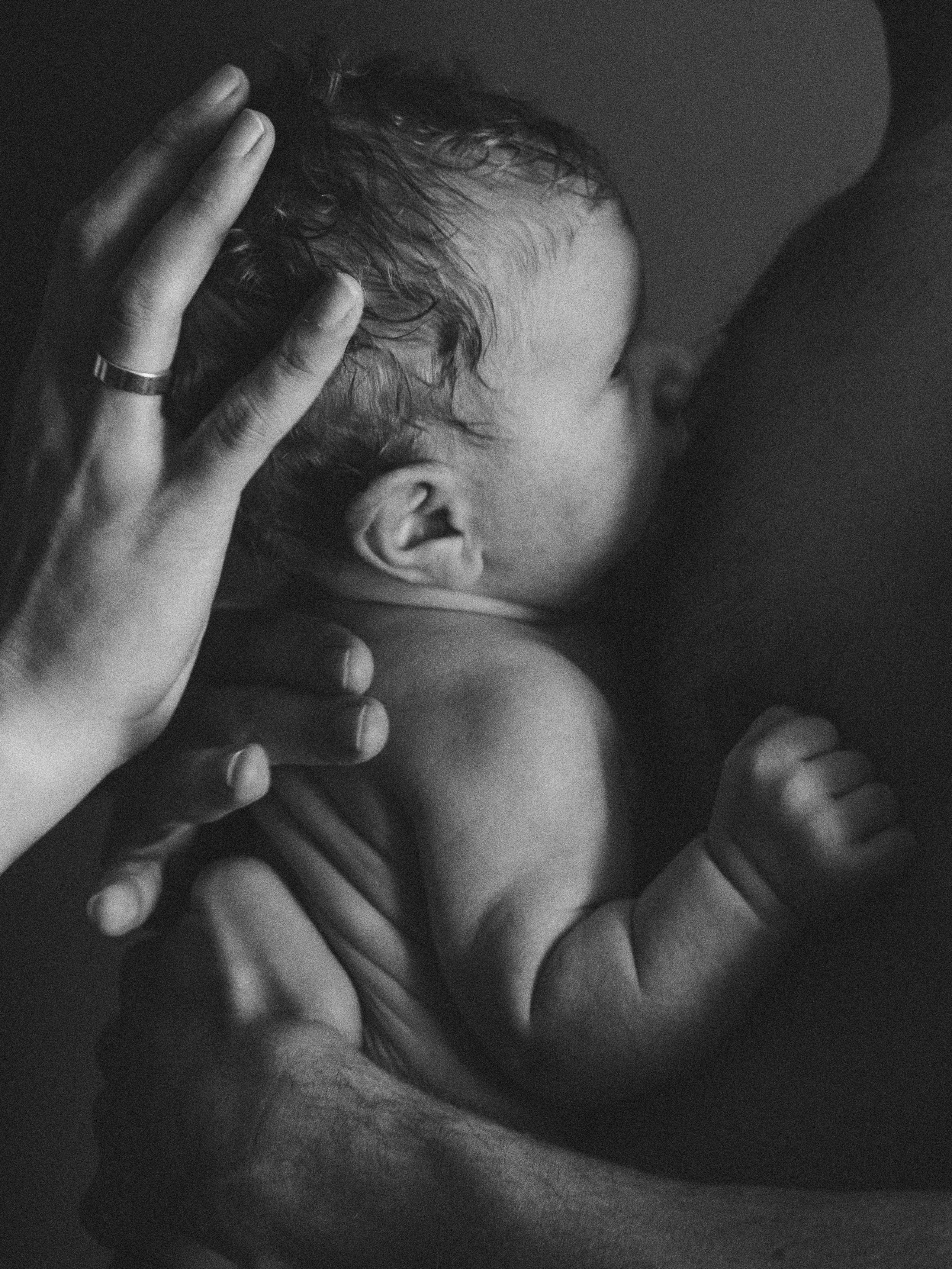 Домашняя фотоистория. Фотограф Любовь Подосенова Липецк|Воронеж