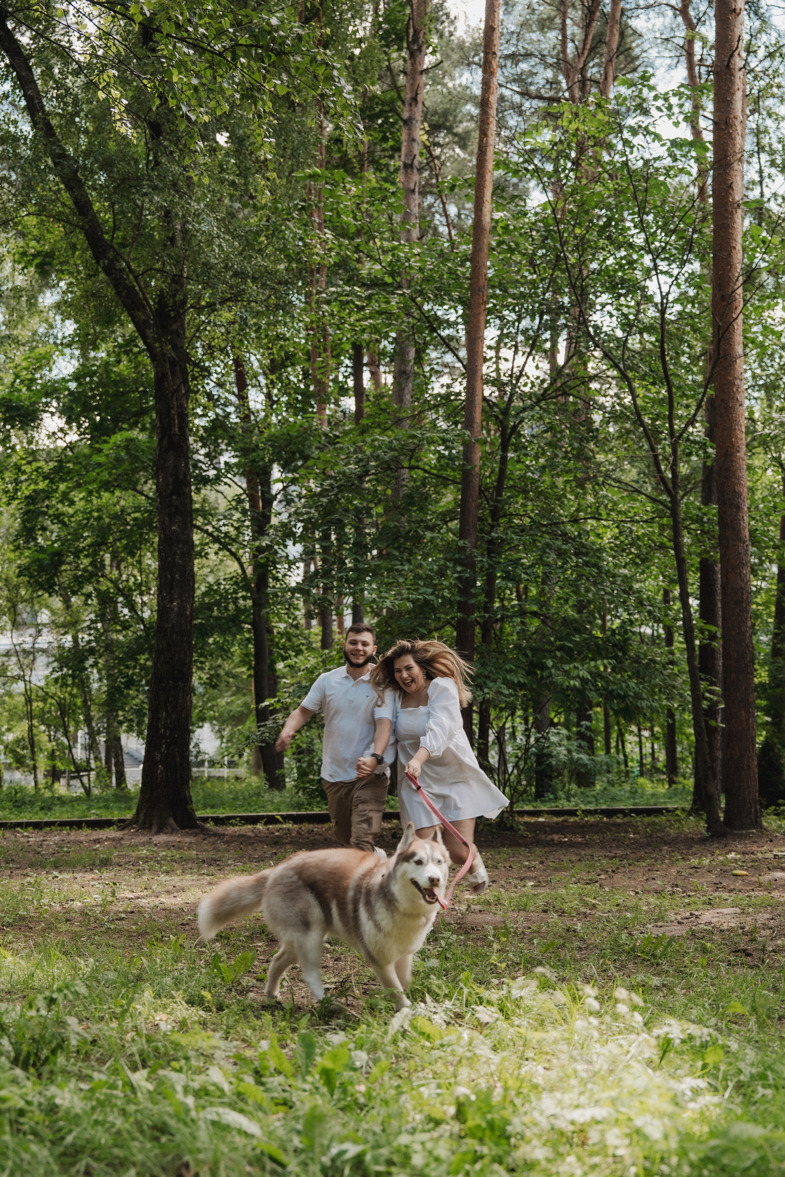Дарья ♡ Максим ✧ Чоки — История любви, когда в семье есть хаски. Свадебный и портретный фотограф в Москве, Светлана Янковая