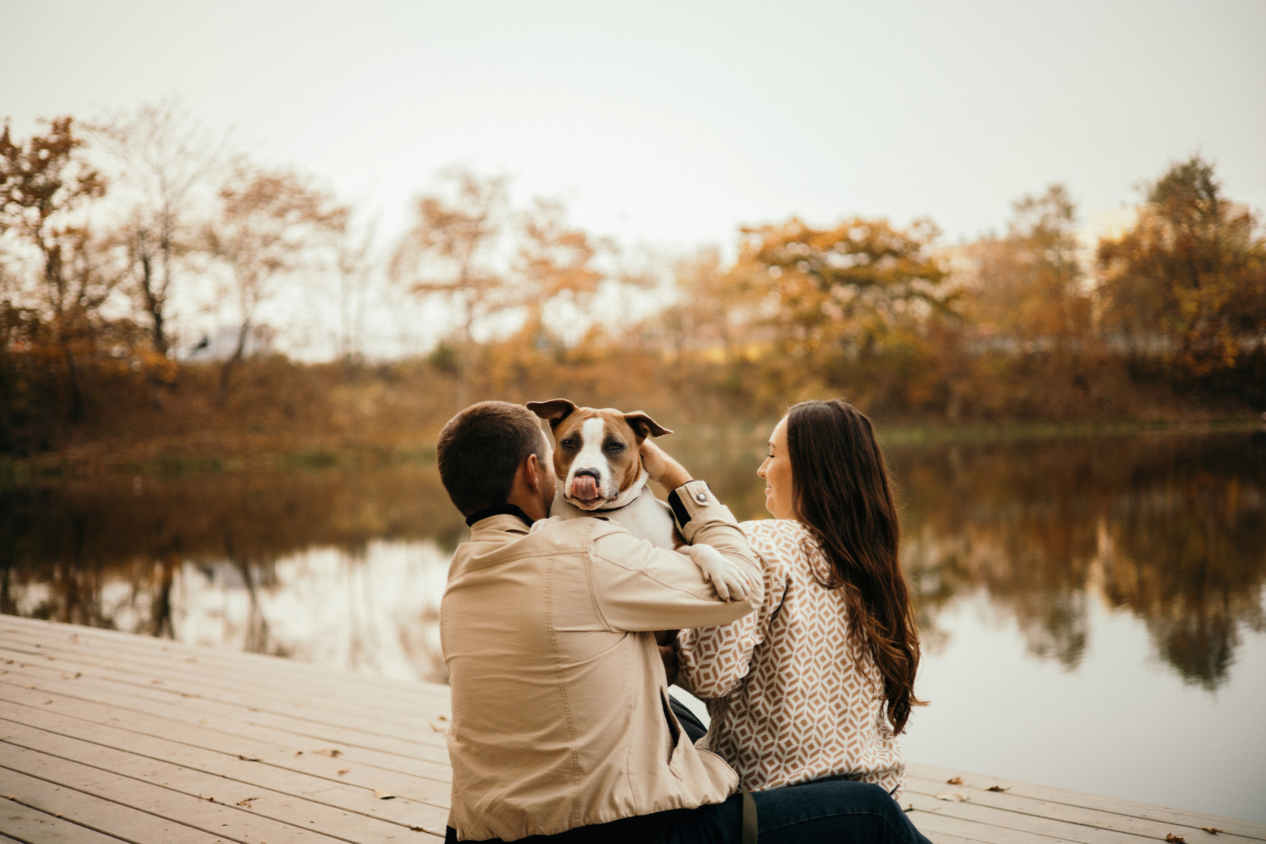 Лаффи и ее семья. Фотограф — анималист Владивосток, Алина