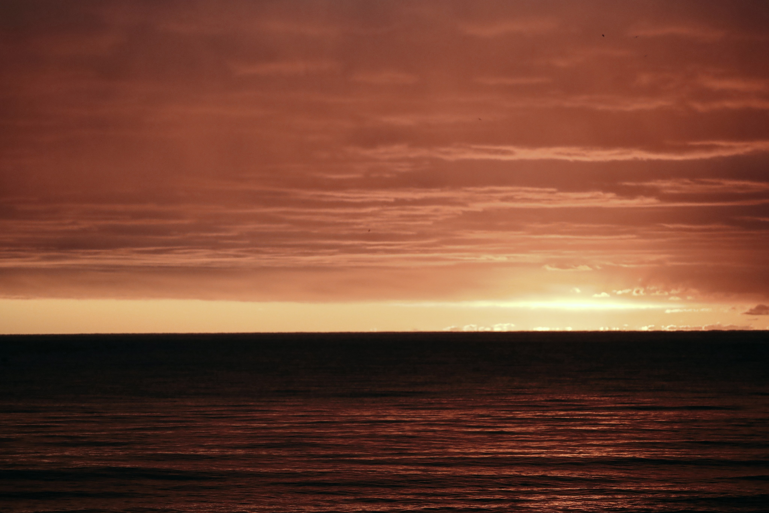 Аля и Лукьян. Портретный фотограф и Love story в Сочи