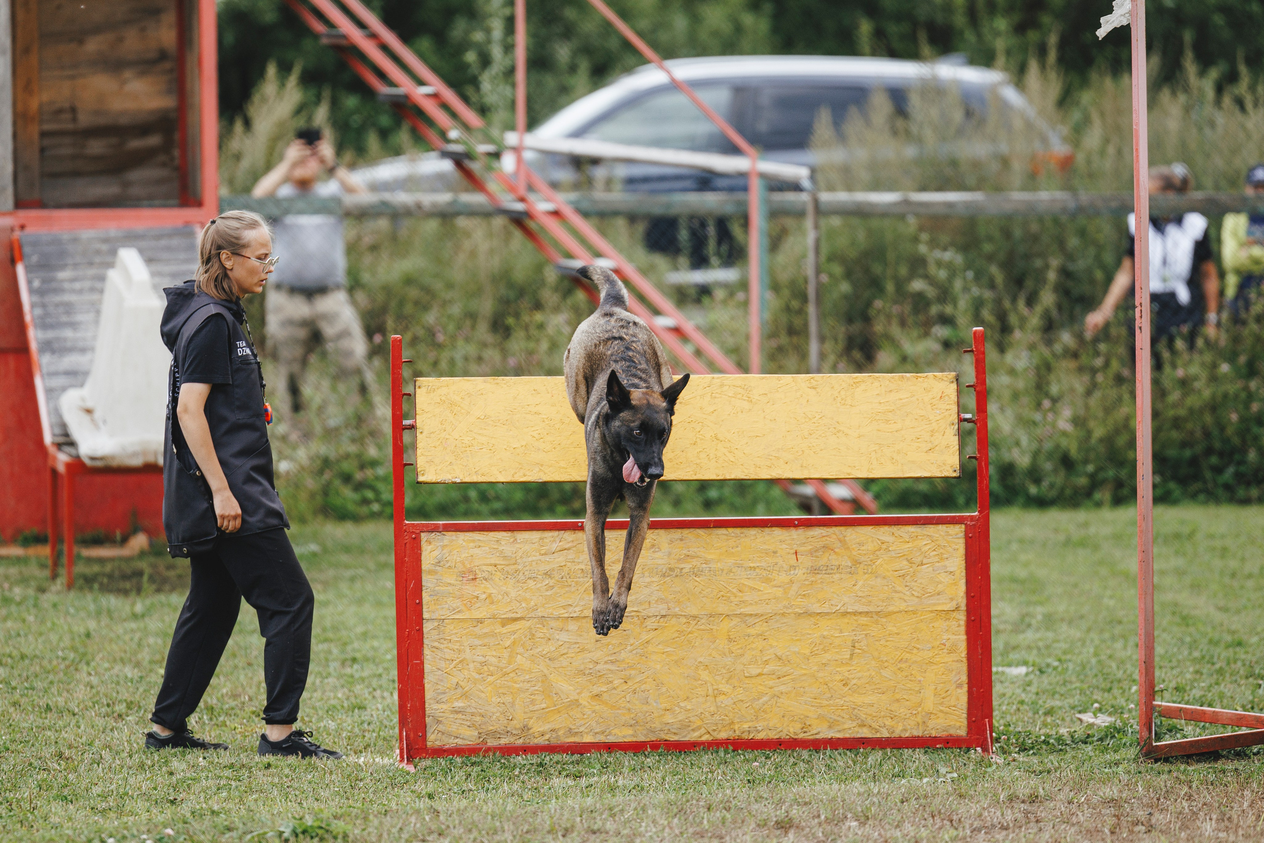 08.08.25-10.08.25 ЧР по мондьорингу г. Вологда. Фотограф-анималист Анна Маринич