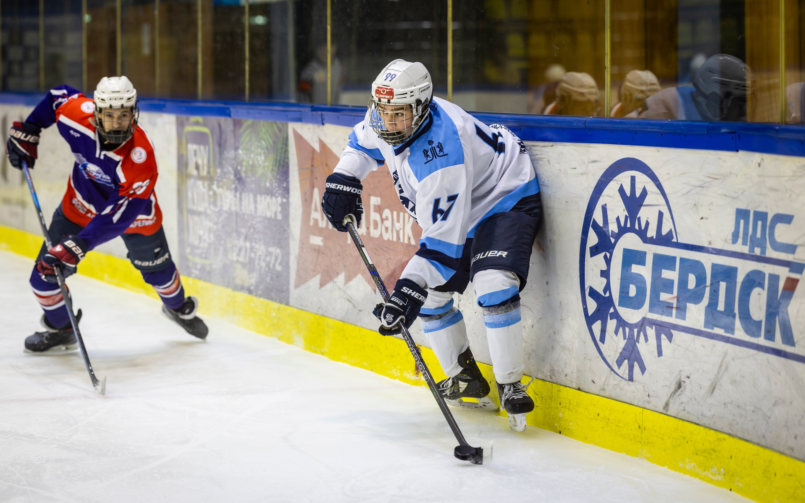 Сибирь (ЮХЛ). Bertran Ordo