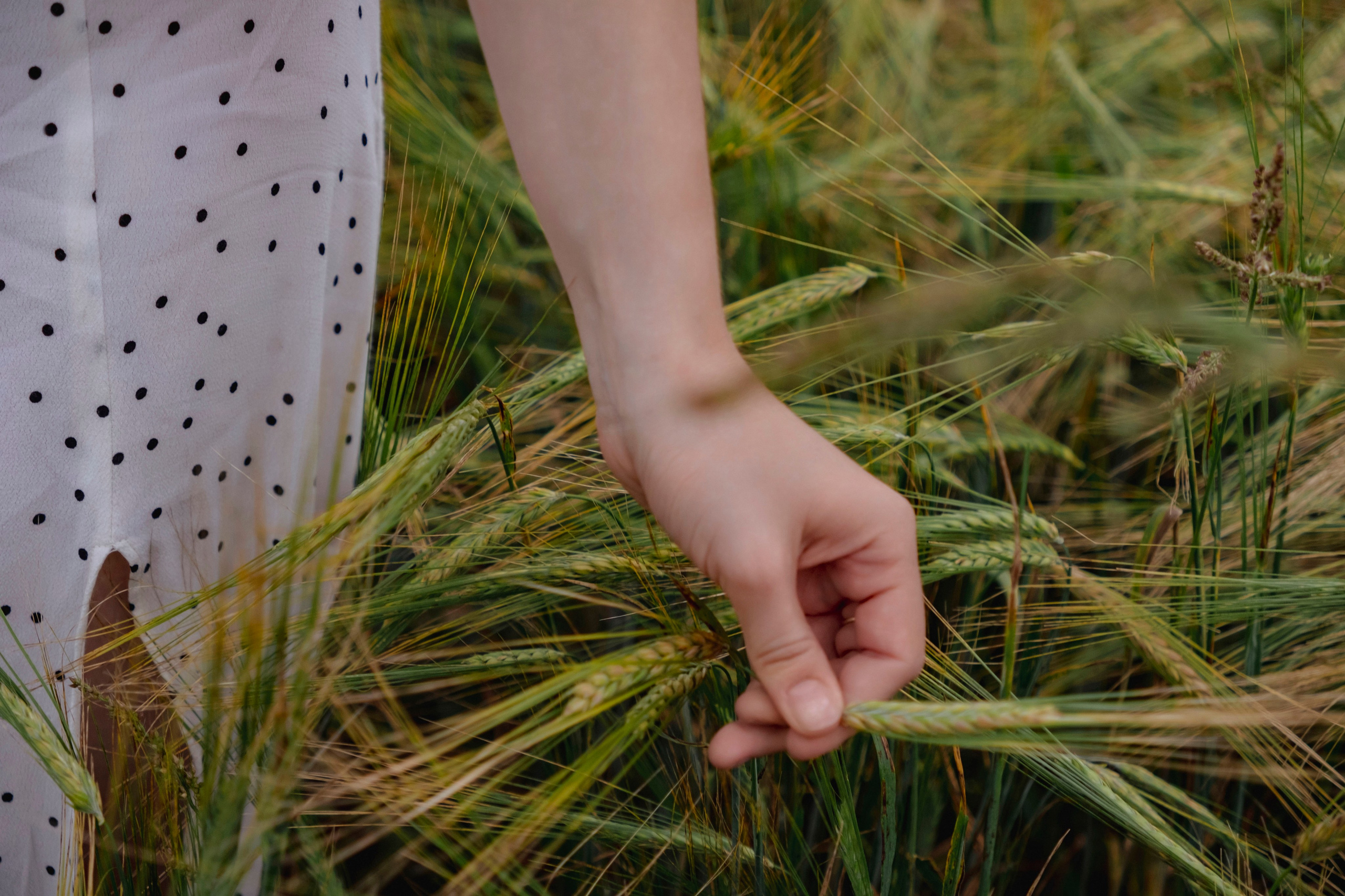 Полевая. Фотограф в Иркутске Анна Мирошникова