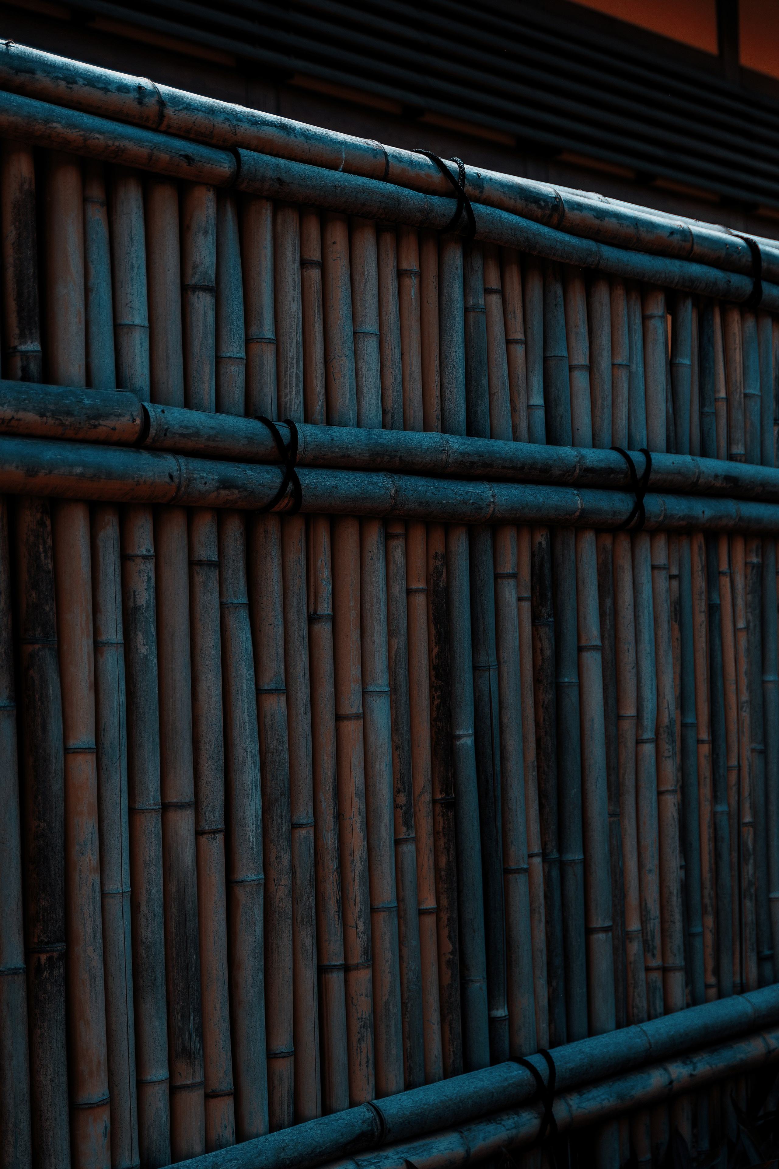 Фотосессия в японском стиле в краснодаре в парке Галицкого. прекрасный образ гейши и женская эстетика. Красивая природа Японии. 