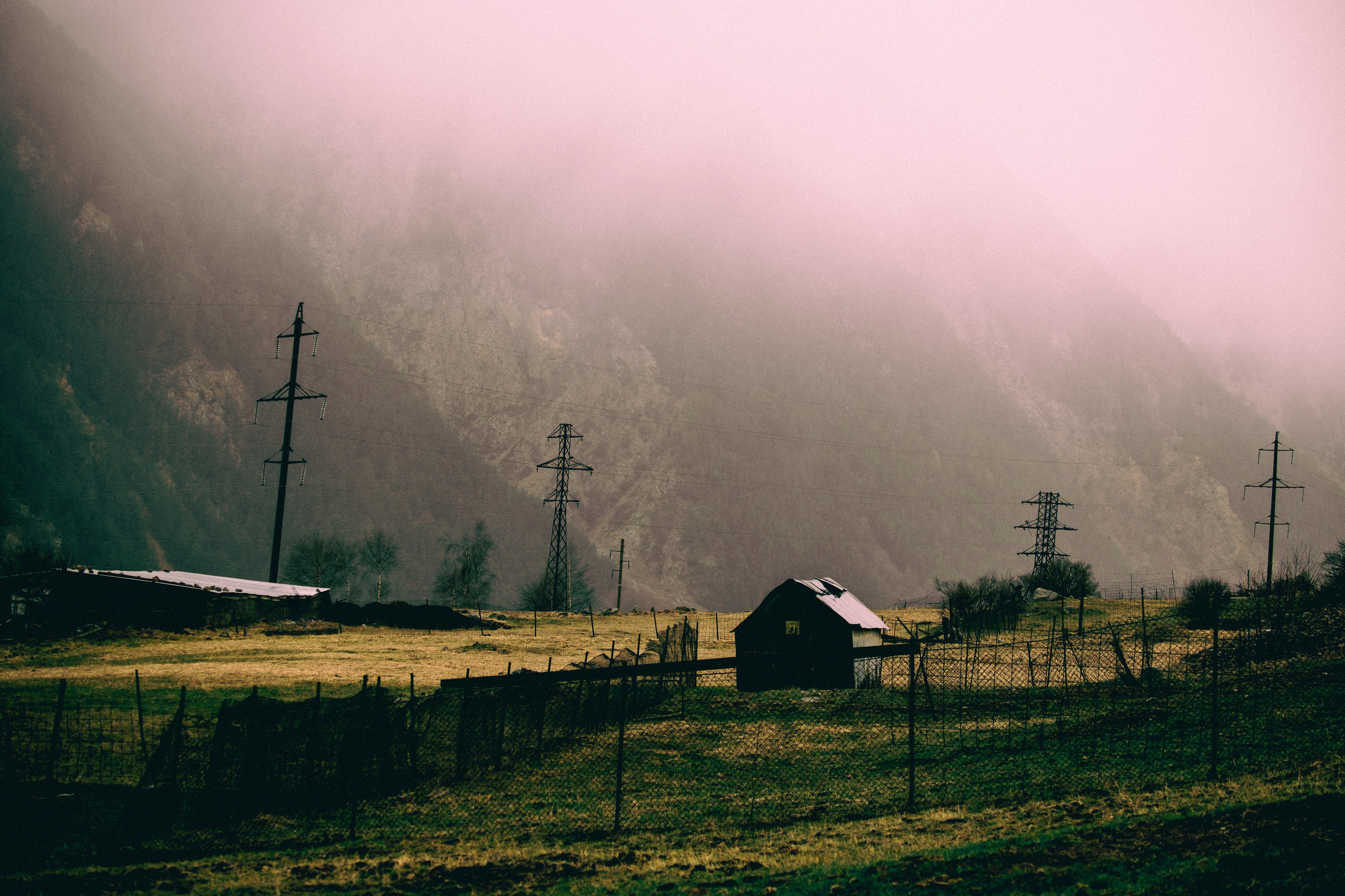 Цветные фотографии. Фотографии Лены Соколовой