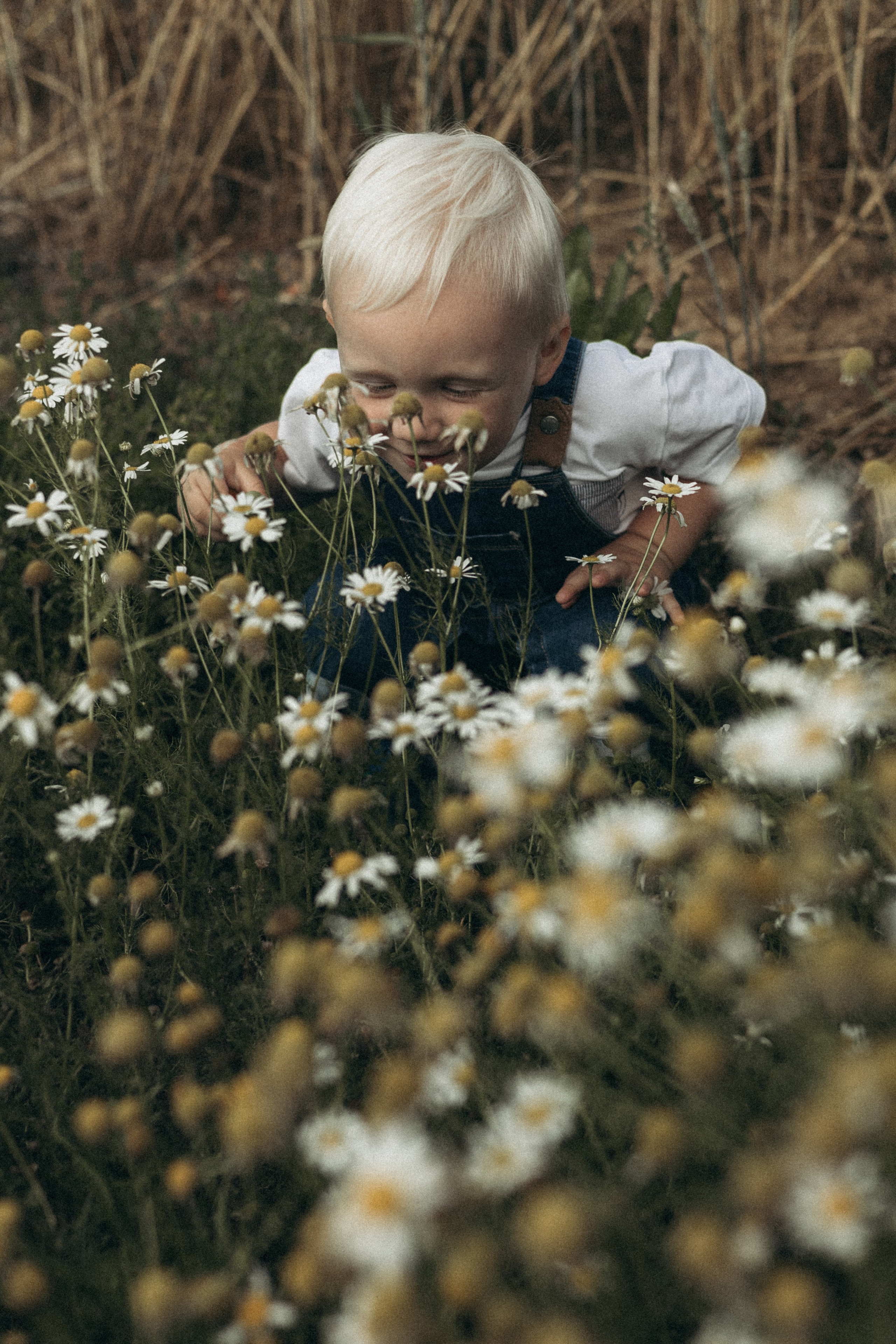 Ира и Тёма. Анастасия Шаповалова | Семейный фотограф