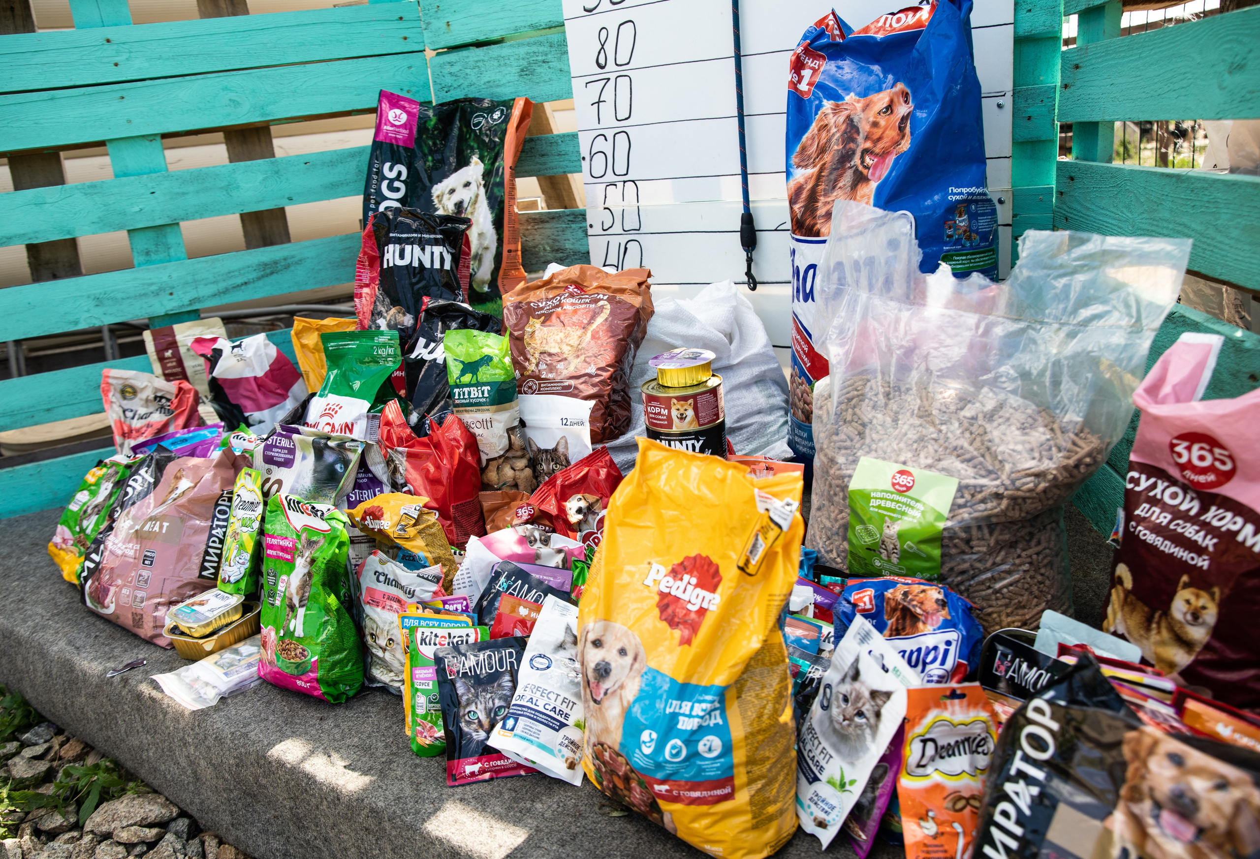 Приют — Наш дом. Репортажный и свадебный фотограф в Челябинске Елисеев Павел