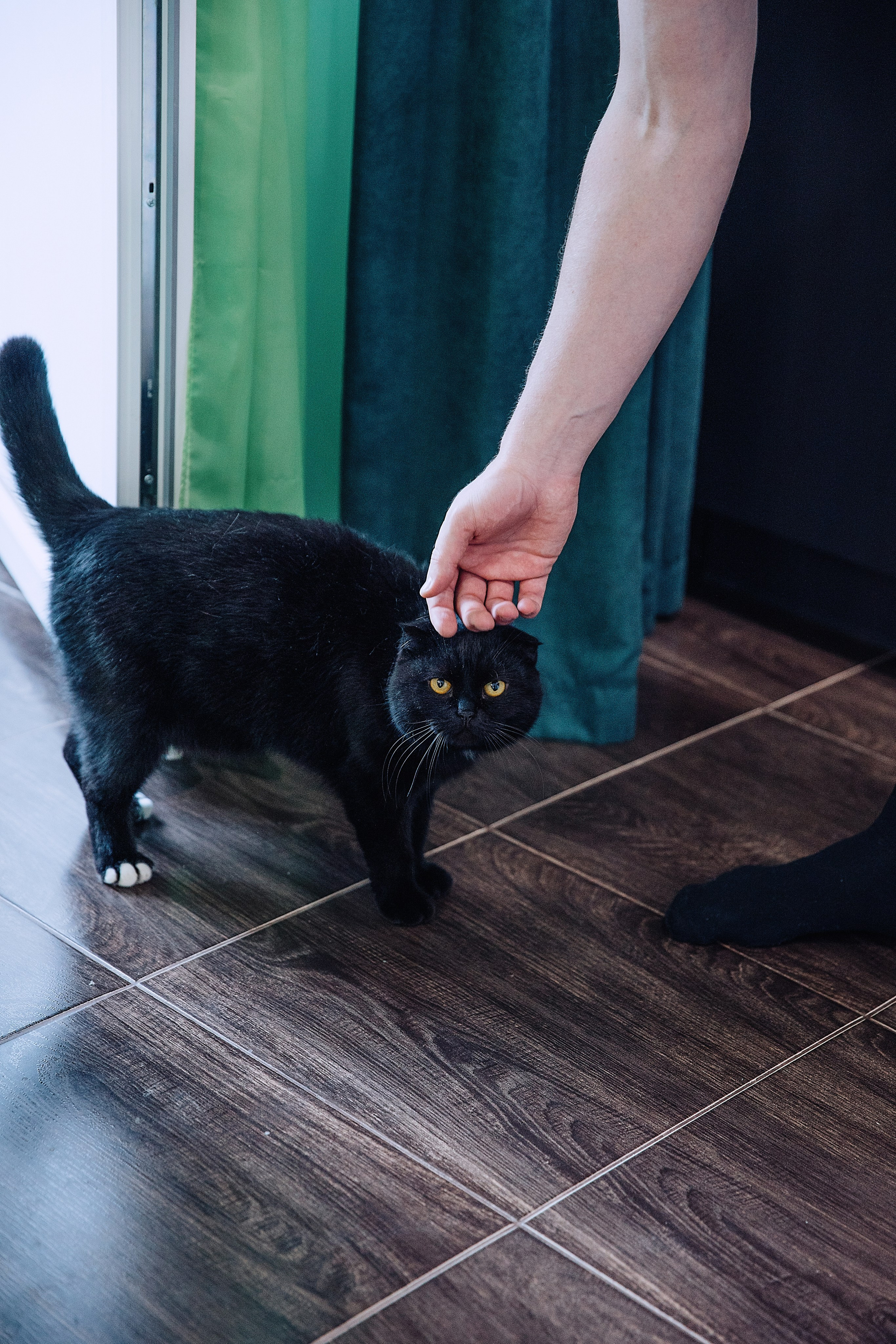 Илья и Света. Свадебный и семейный фотограф в Йошкар-Оле