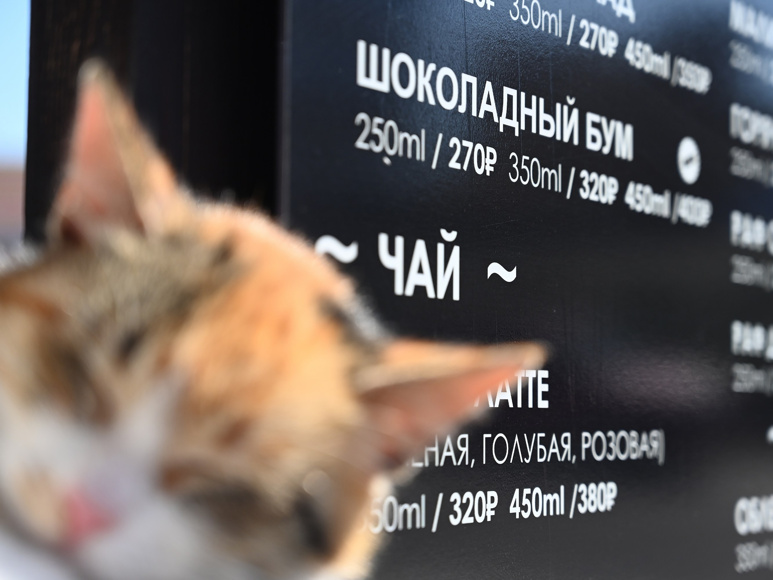 Шоколадный бум, пляж Алексино