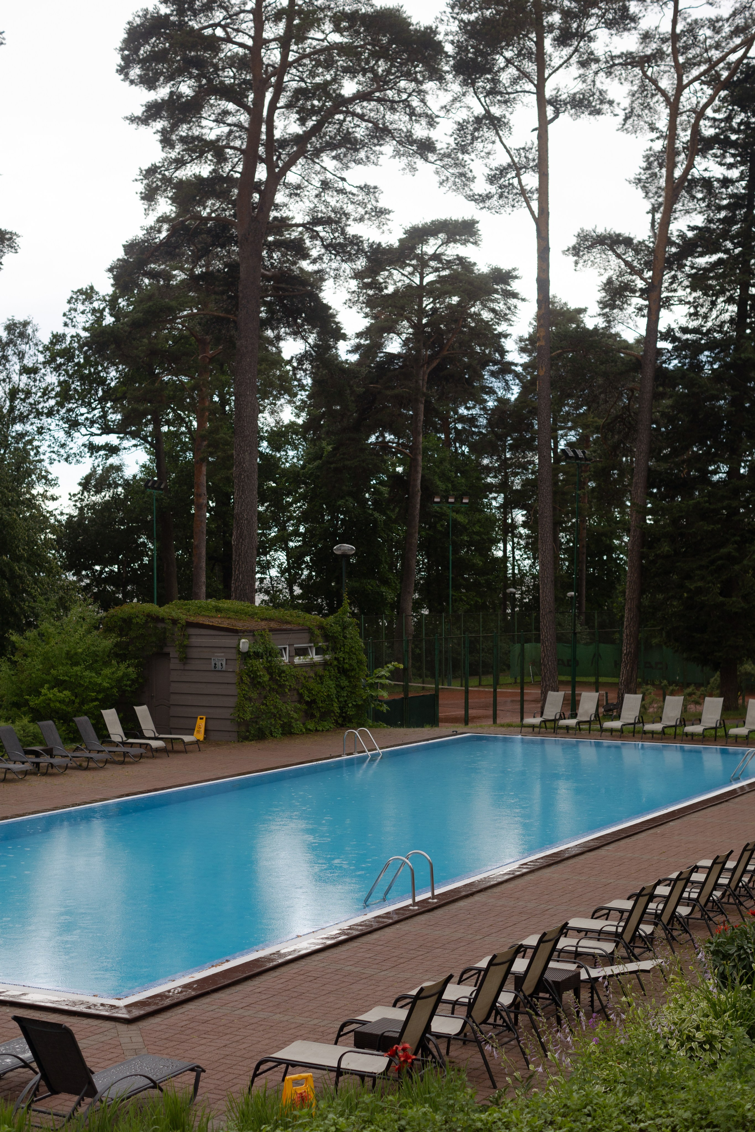 Виталий и Полина. @dariazphoto свадебный фотограф