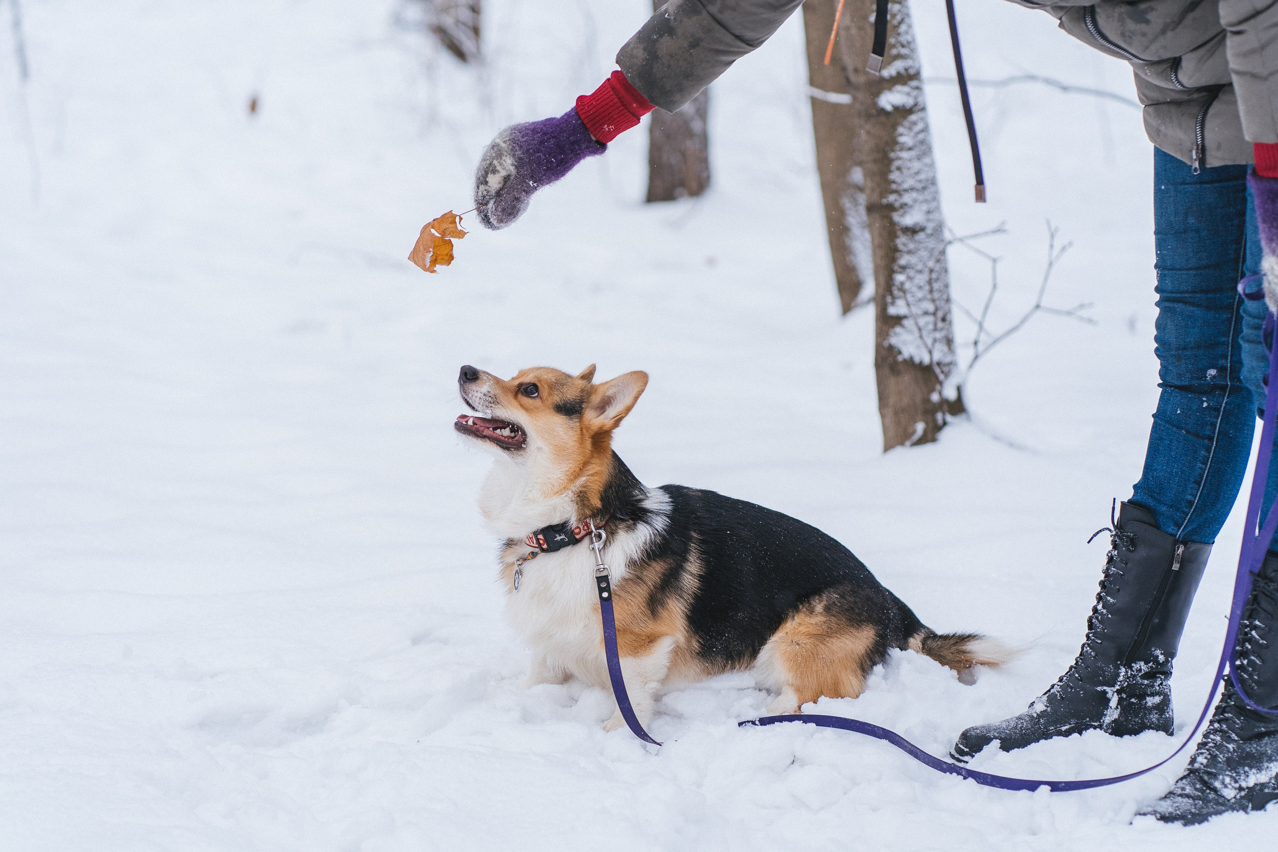 Каспер и Полина. Свадебный фотограф в Москве Анна Полушина