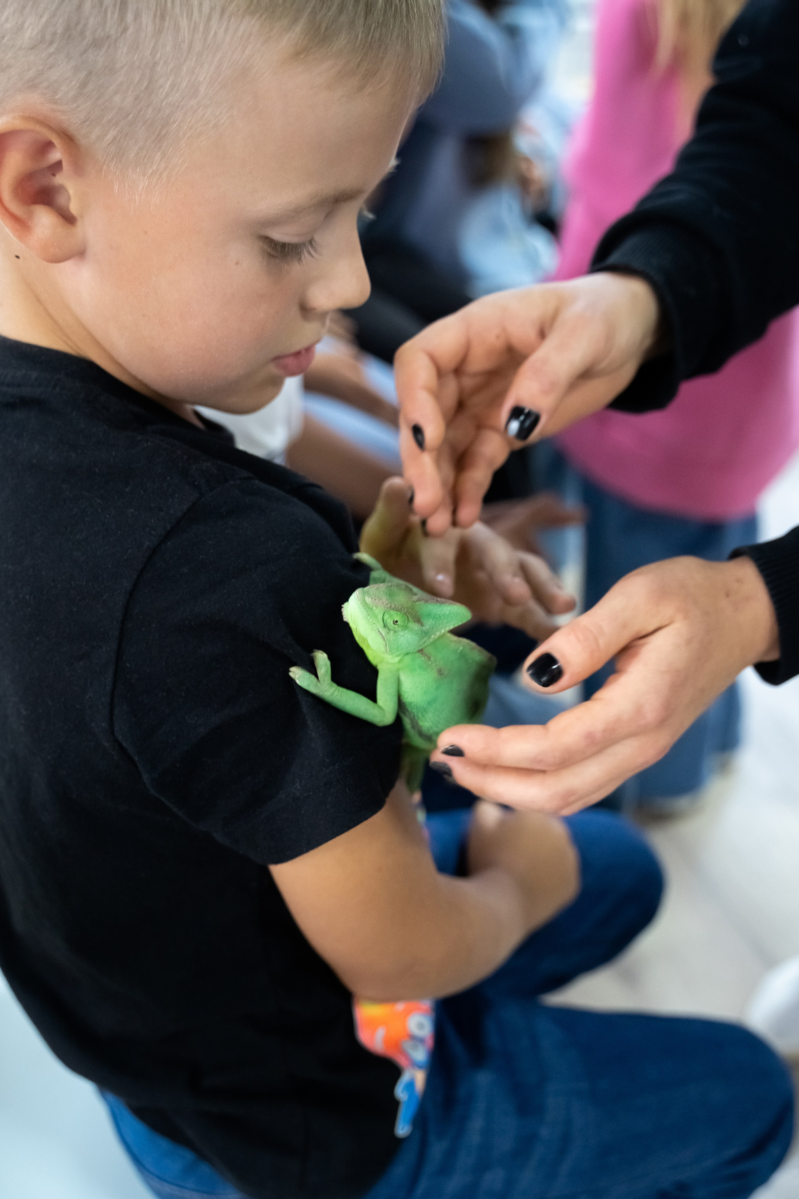 Tik Tok вечеринка. Фотограф в Одинцово, Москве
