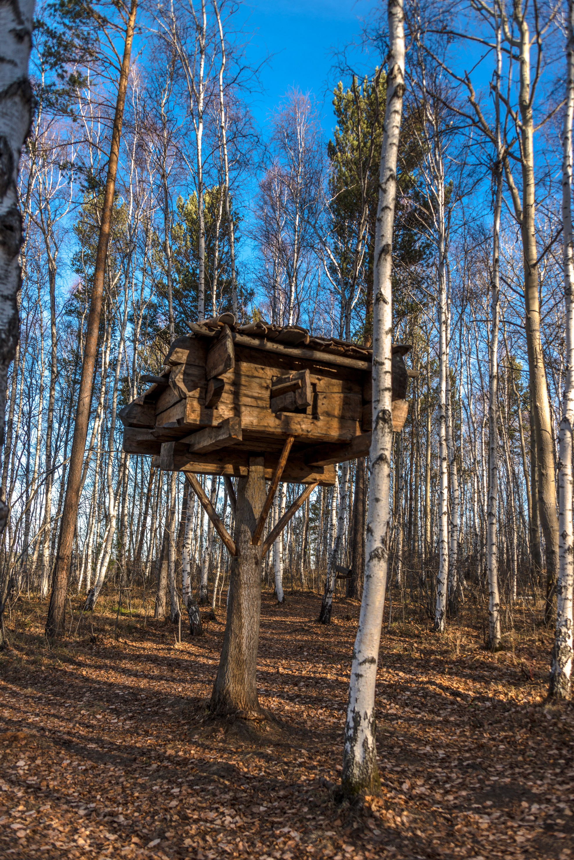 Иркутская область Тальцы. Фотограф Лара Кучина