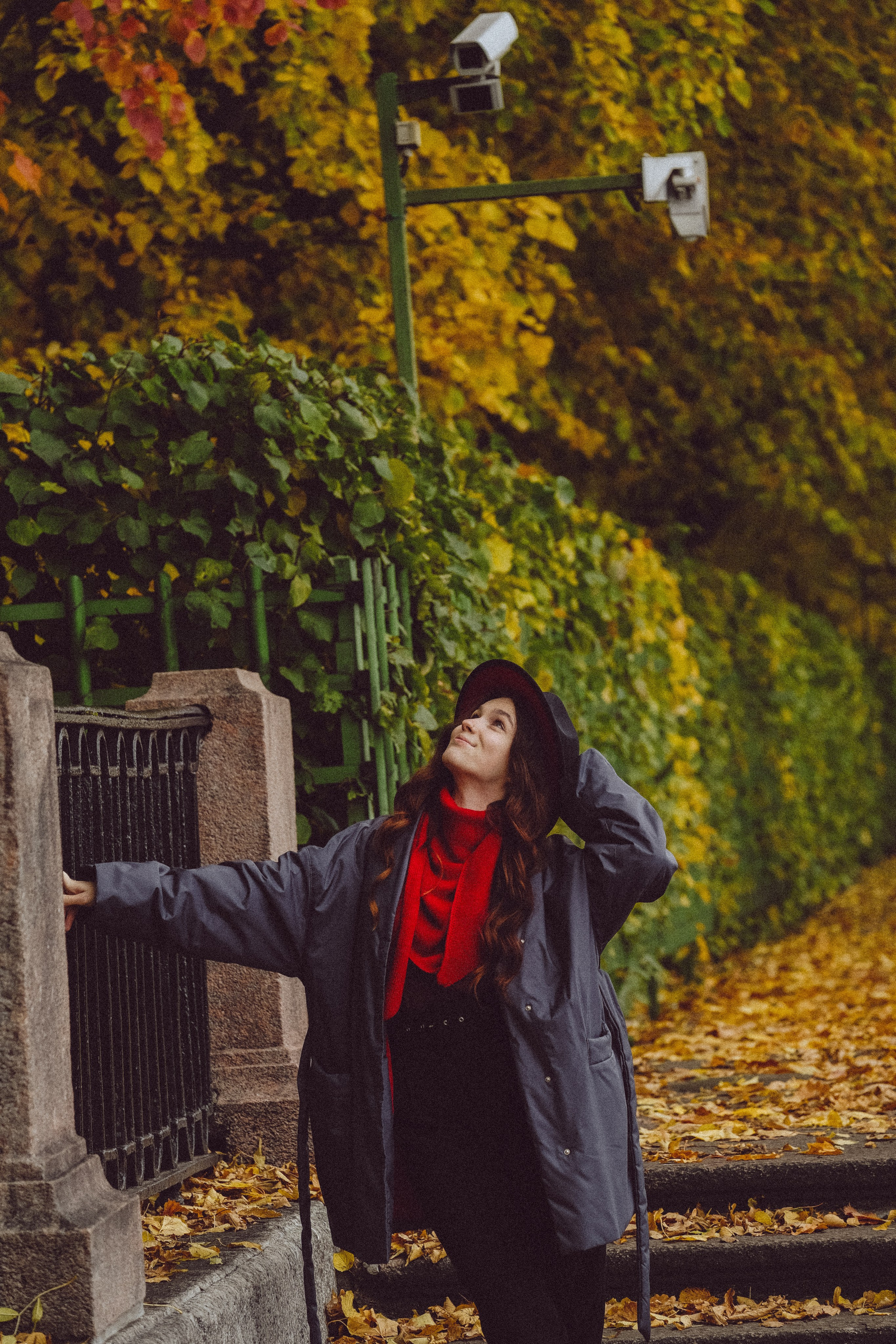 Осень. Профессиональный фотограф, Санкт-Петербург — Виктория Богомолова