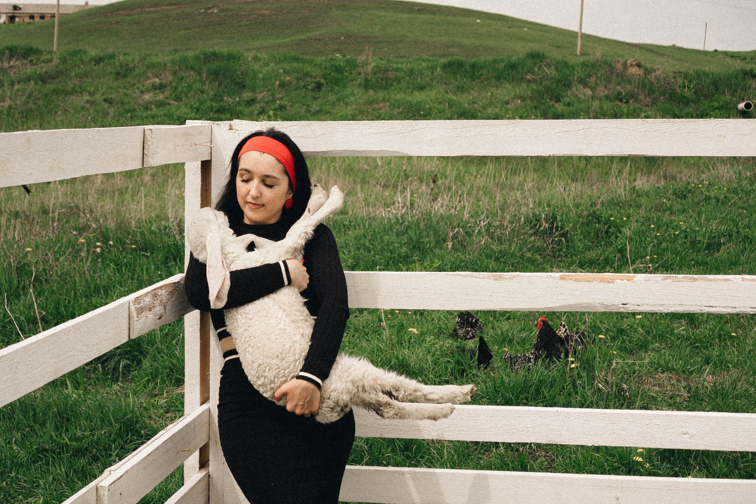 Ферма Альпак. Профессиональный фотограф, Санкт-Петербург — Виктория Богомолова