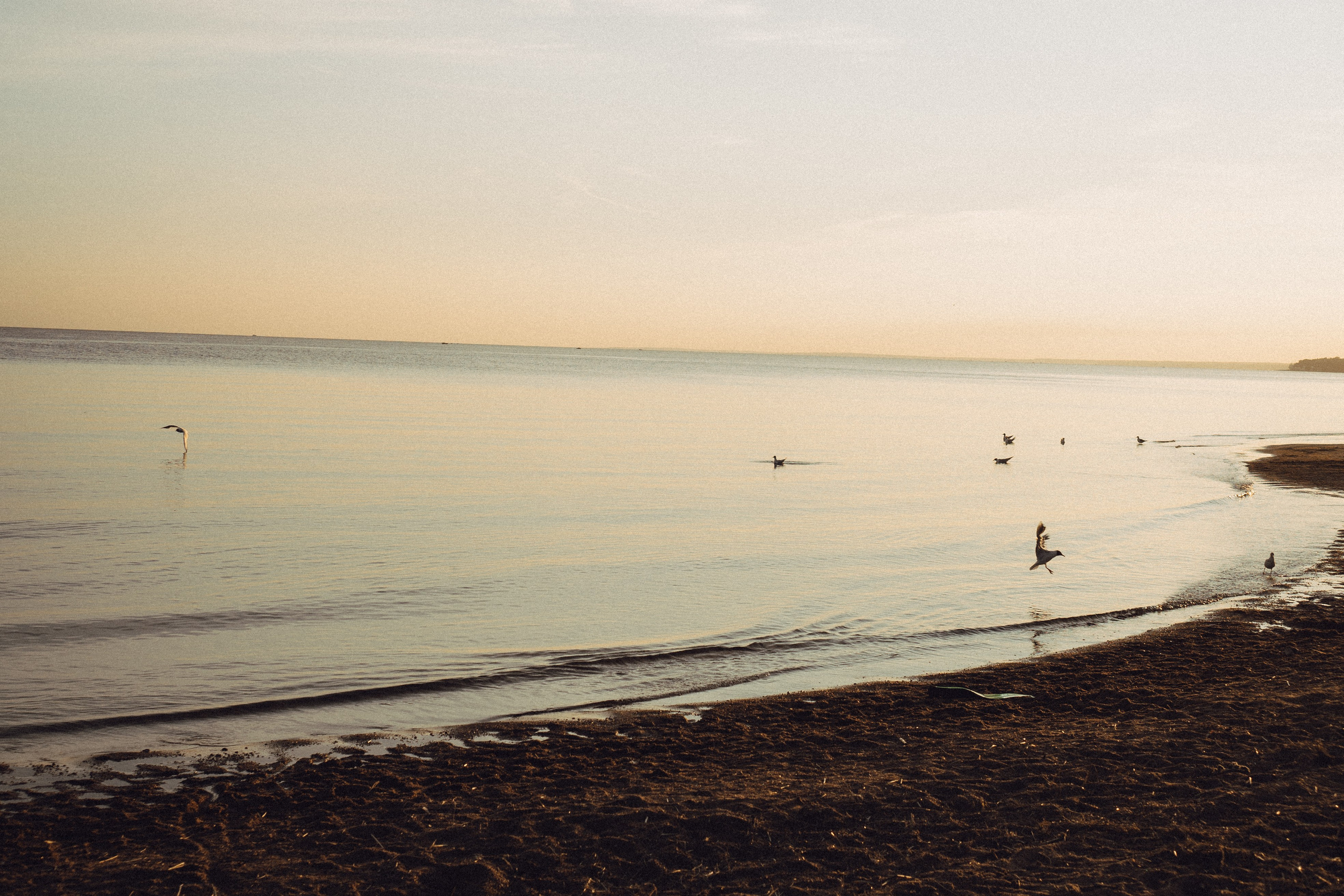 В ОЖИДАНИИ. Профессиональный фотограф, Санкт-Петербург — Виктория Богомолова