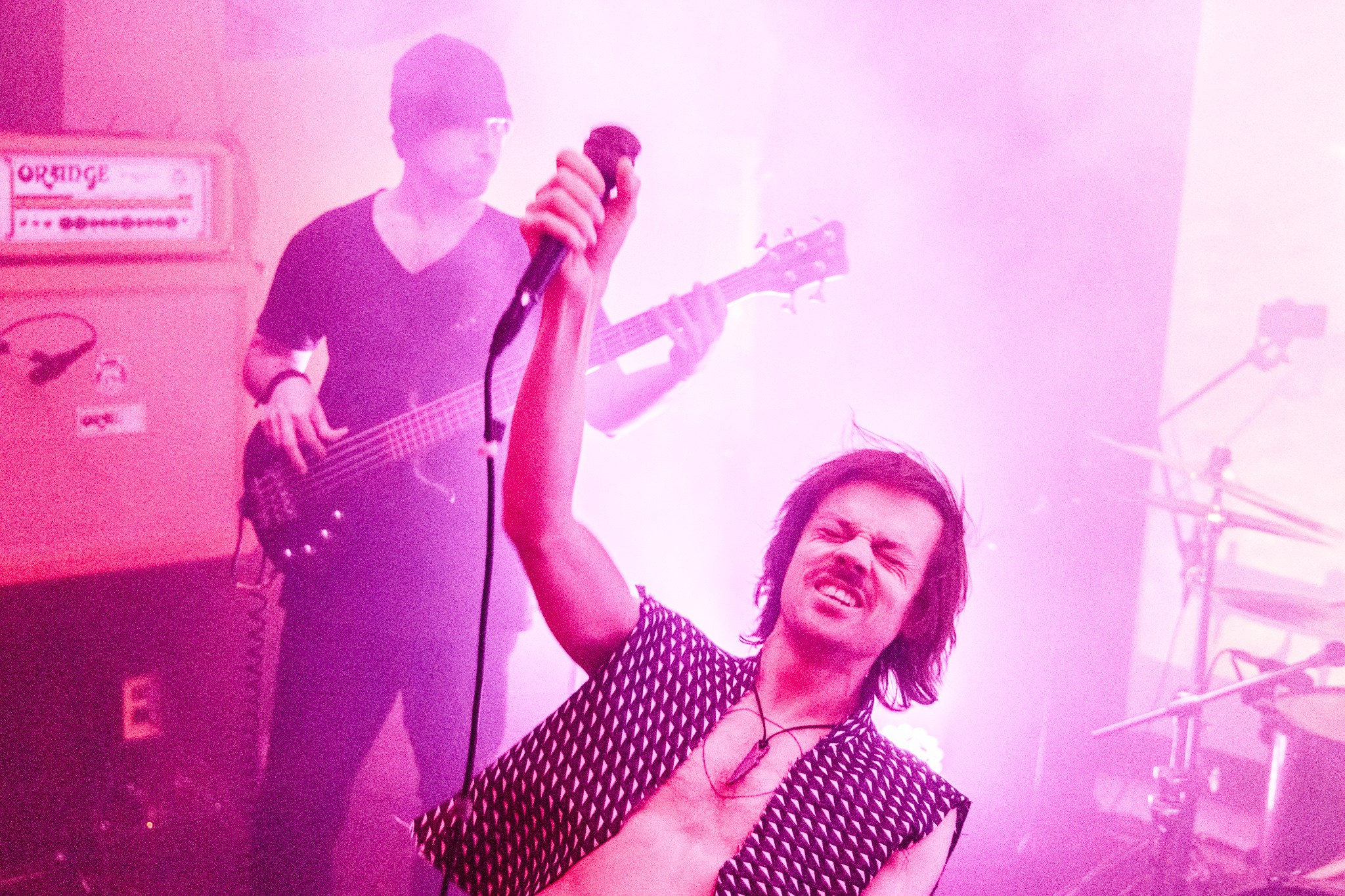 Змееед, Apodemus, 20.12.25, TAGO)))MAGO)))