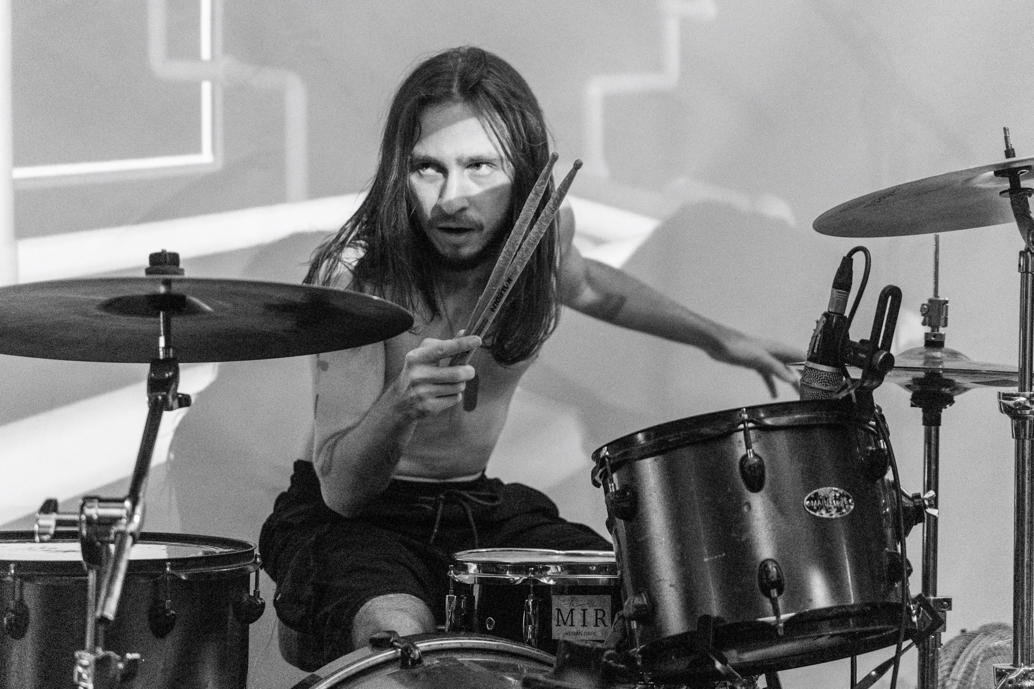 Змееед, Apodemus, 20.12.25, TAGO)))MAGO)))