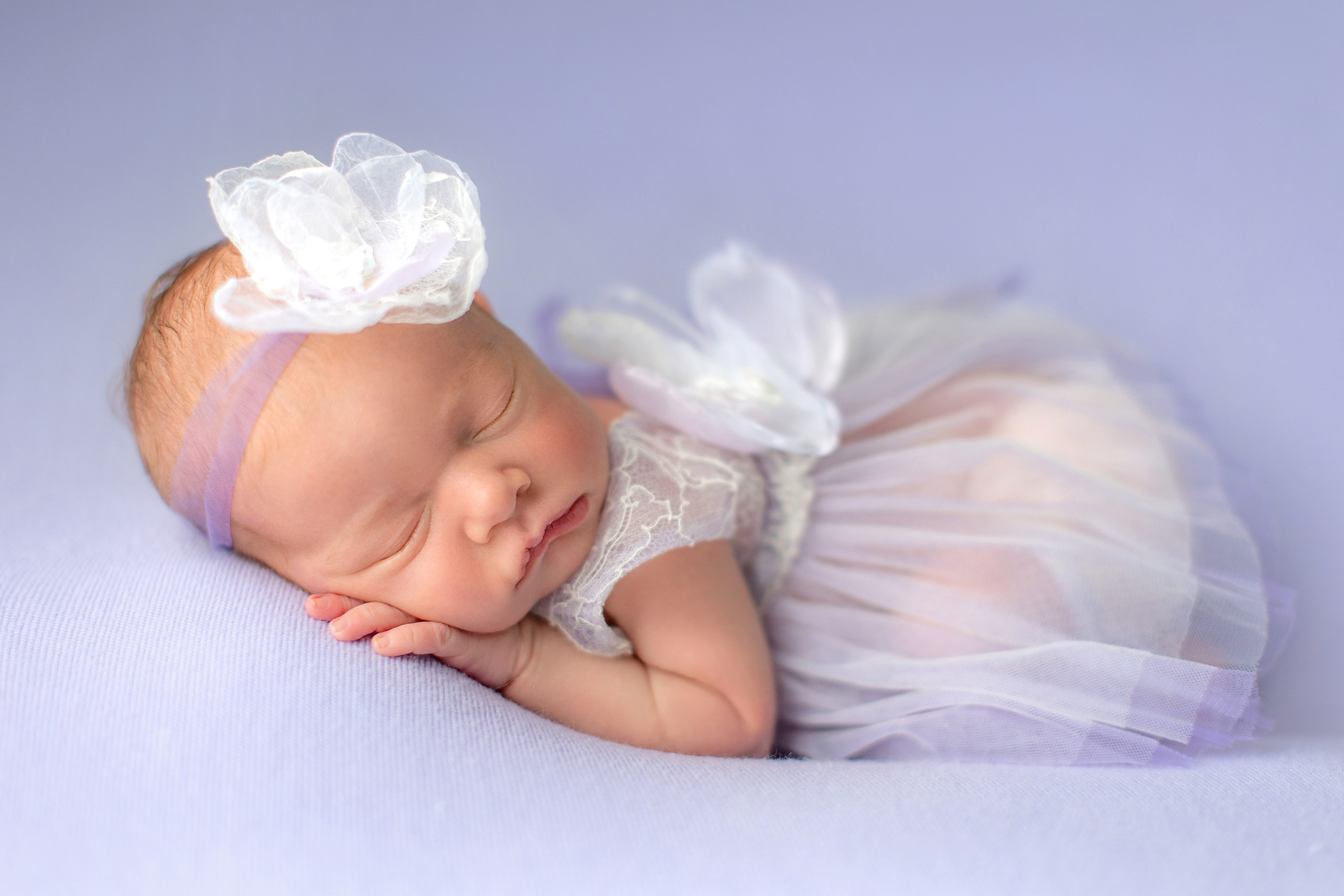 Lavender. Фотограф новорожденных, семейный фотограф в Санкт-Петербурге