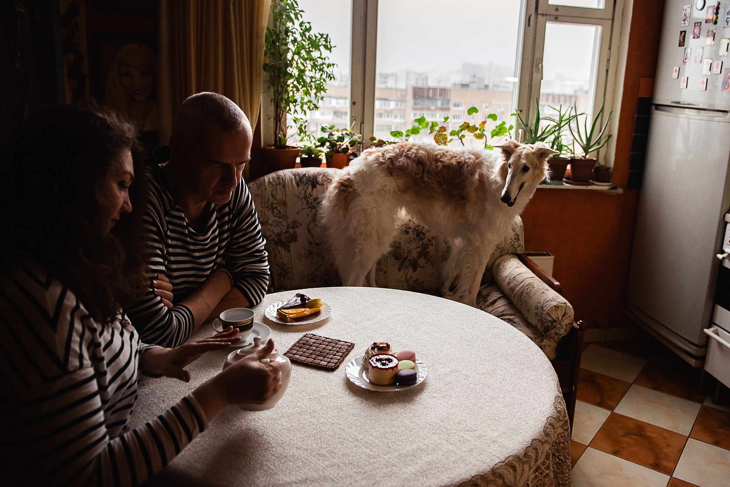 Квартира с картинами. Алиса, Андрей и их пушистая семья. Семейный Фотограф в Москве Ирина Хохлова