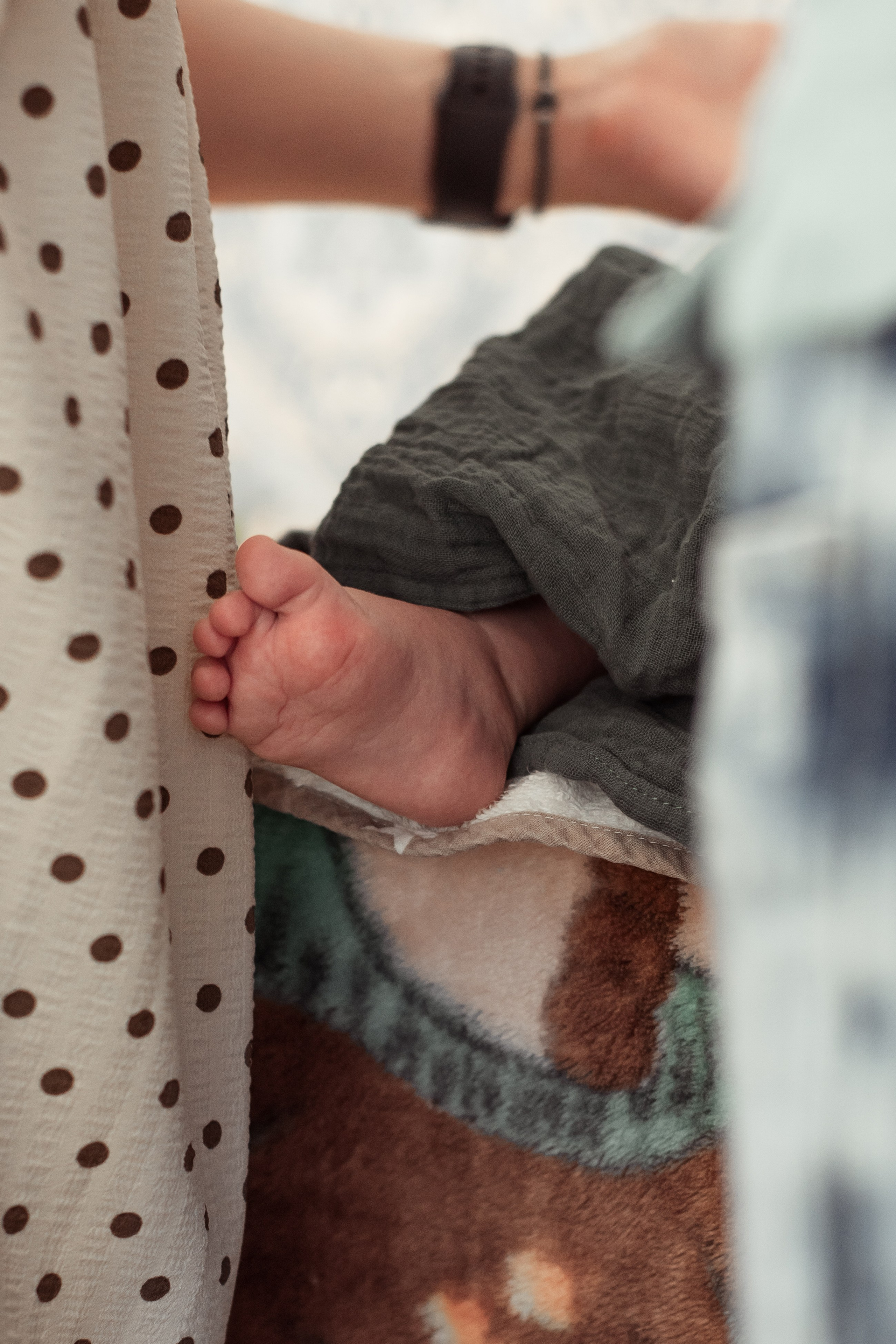 Крещение Николая. Главная