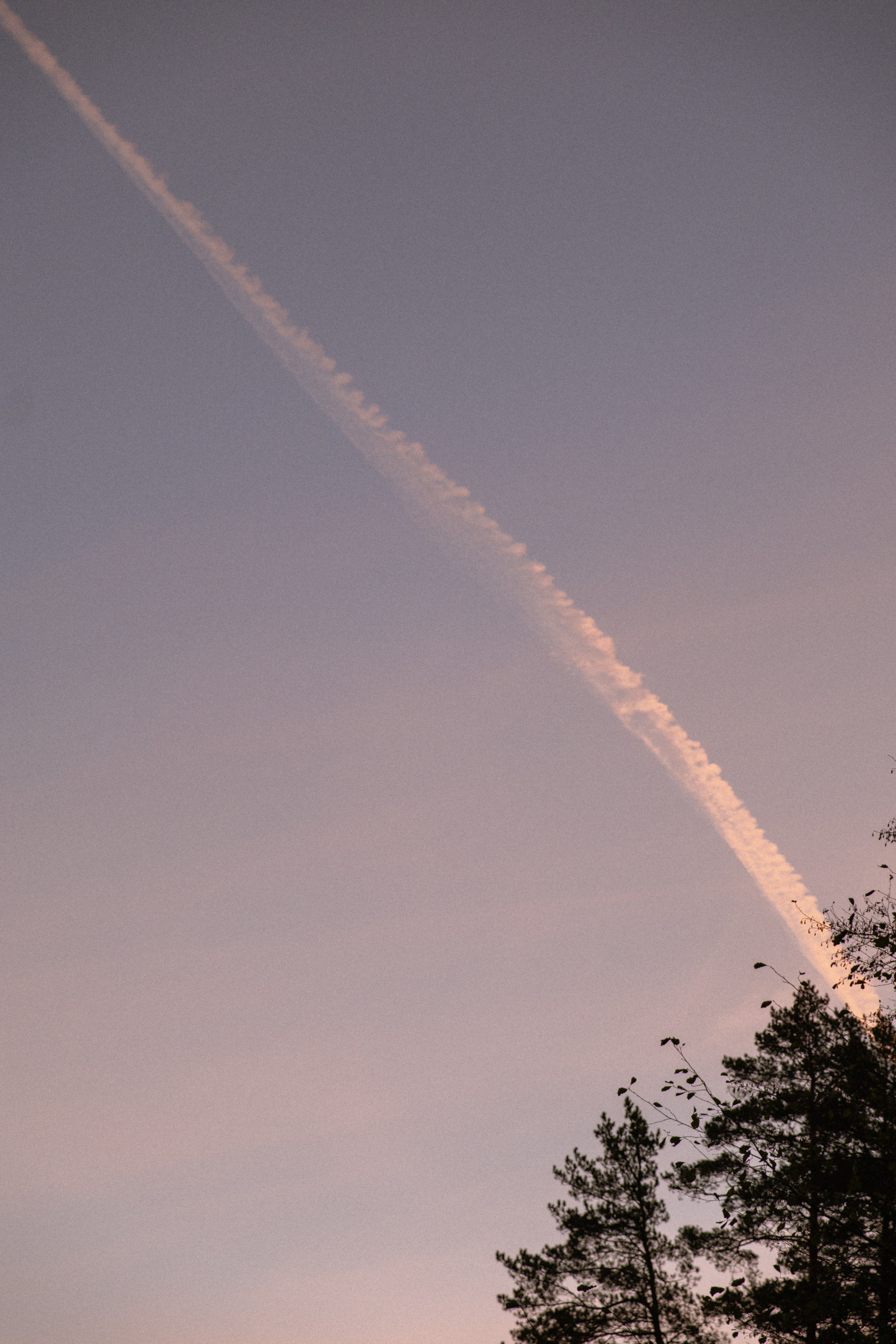 Миша и Юля, осень. Фотограф Ульяна Дивина в Нижнем Новгороде и Нижегородской области