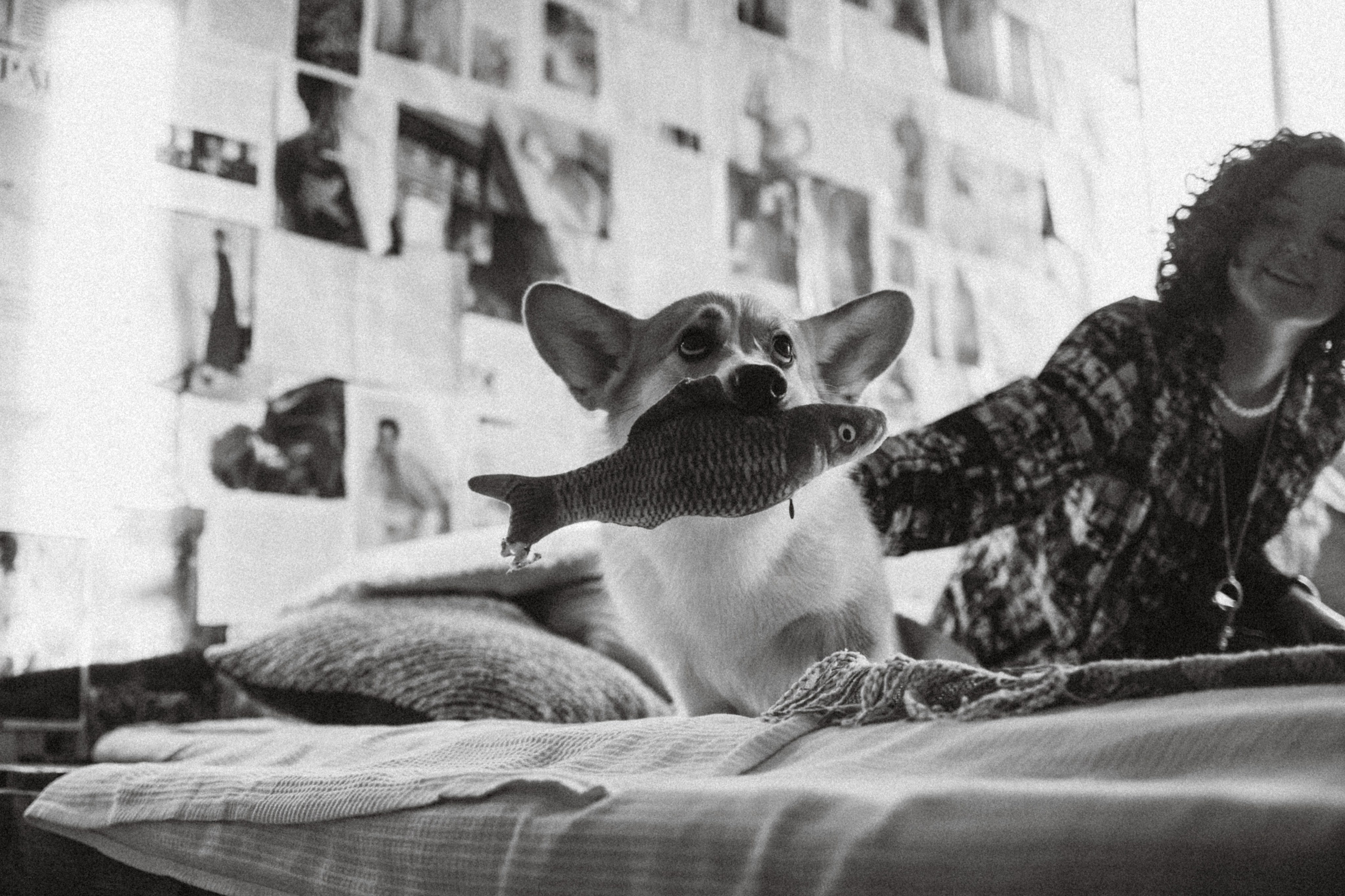 Наталья, Евгений и Мерлин