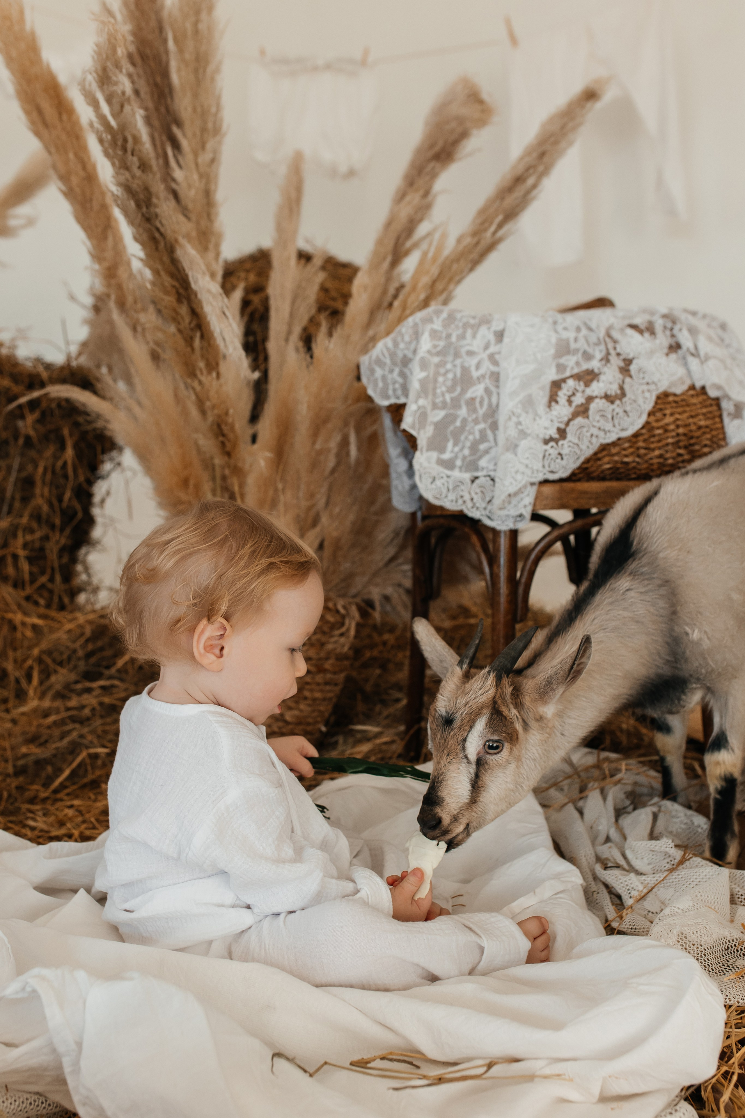 Семейная. Свадебный фотограф Красноярск — Кристина Ива