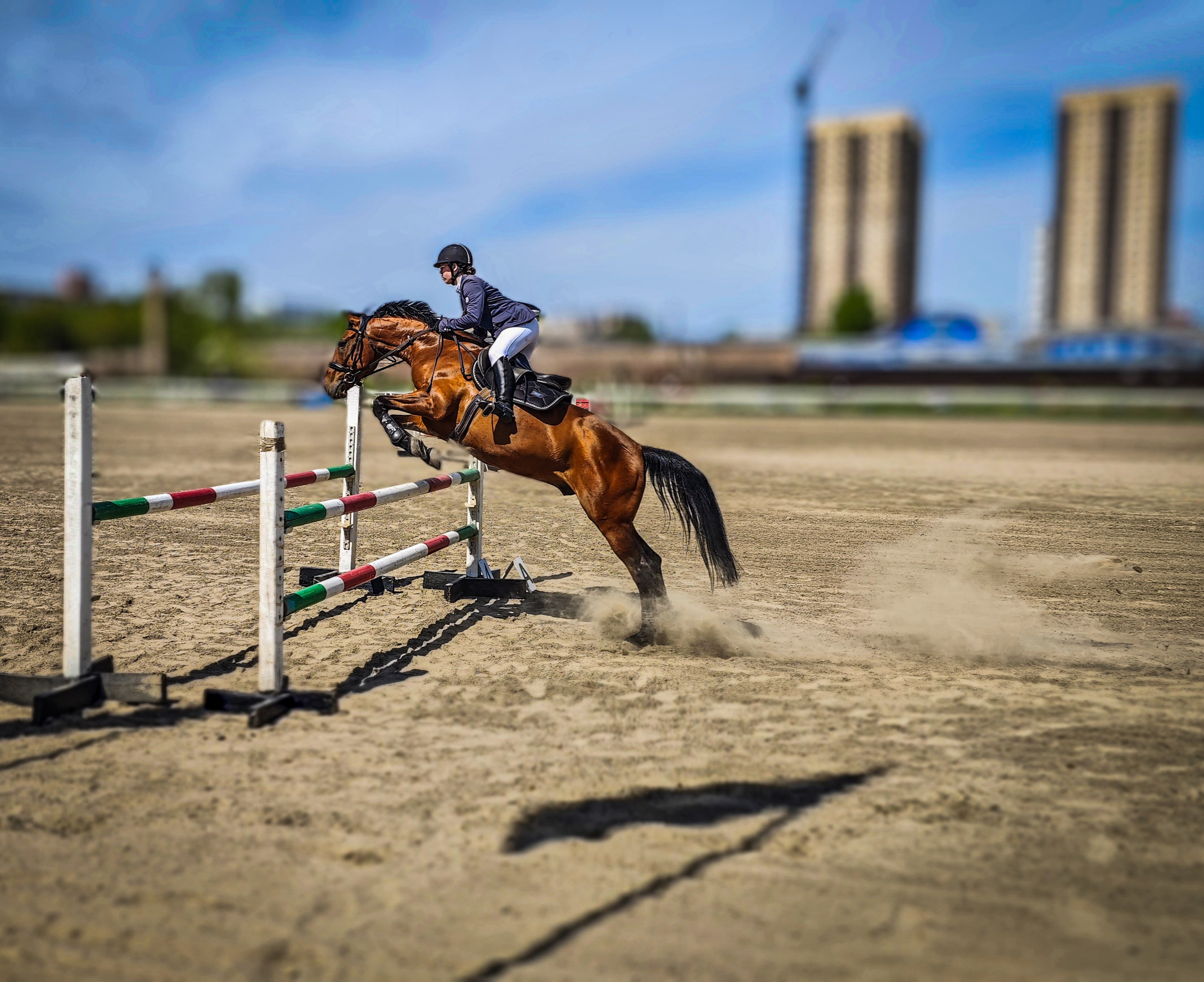 Красноярский ипподром. Открытие сезона 2025. Игорь Урывский. Фотограф Красноярск