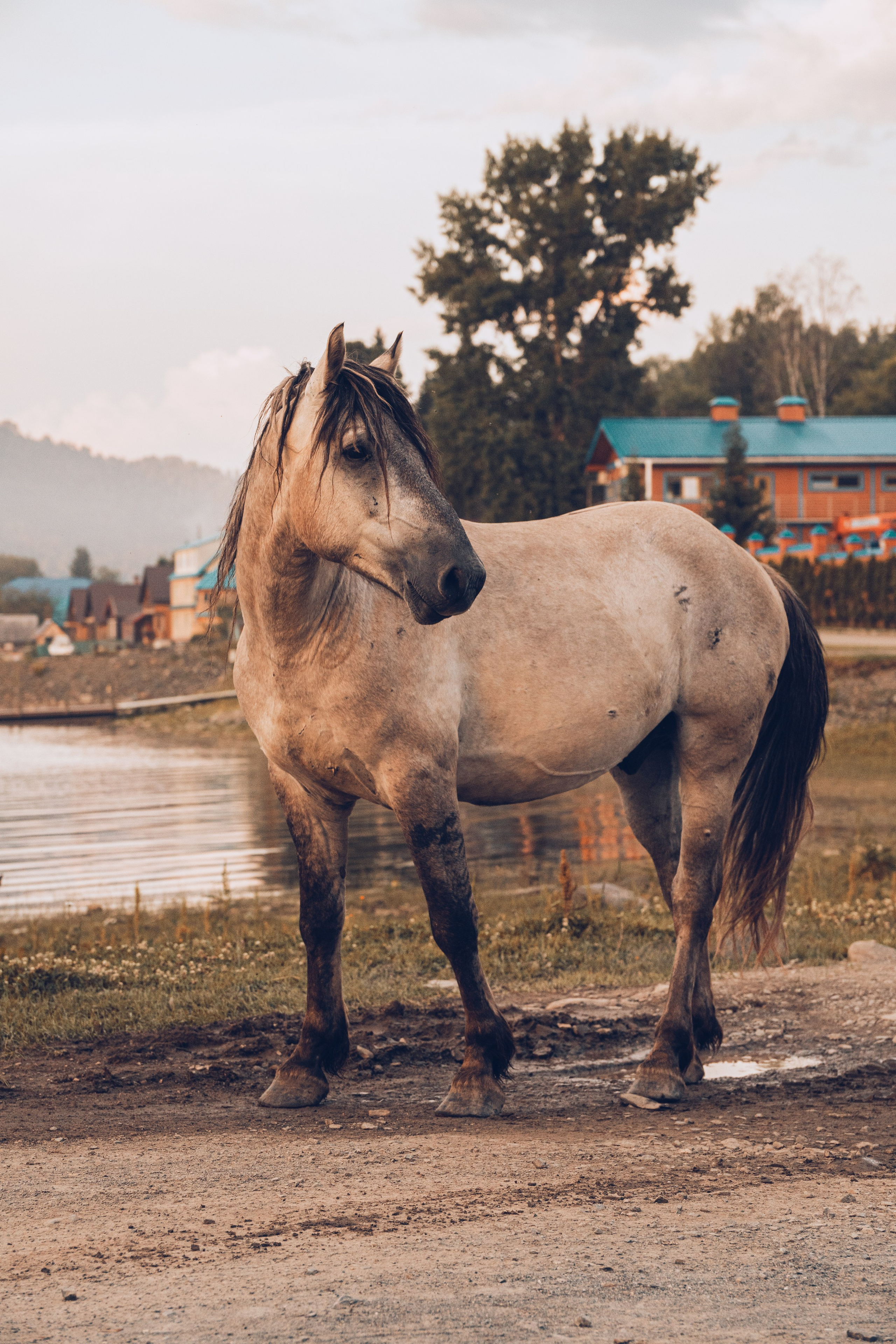 Алтай. Gusarov Travel Photography